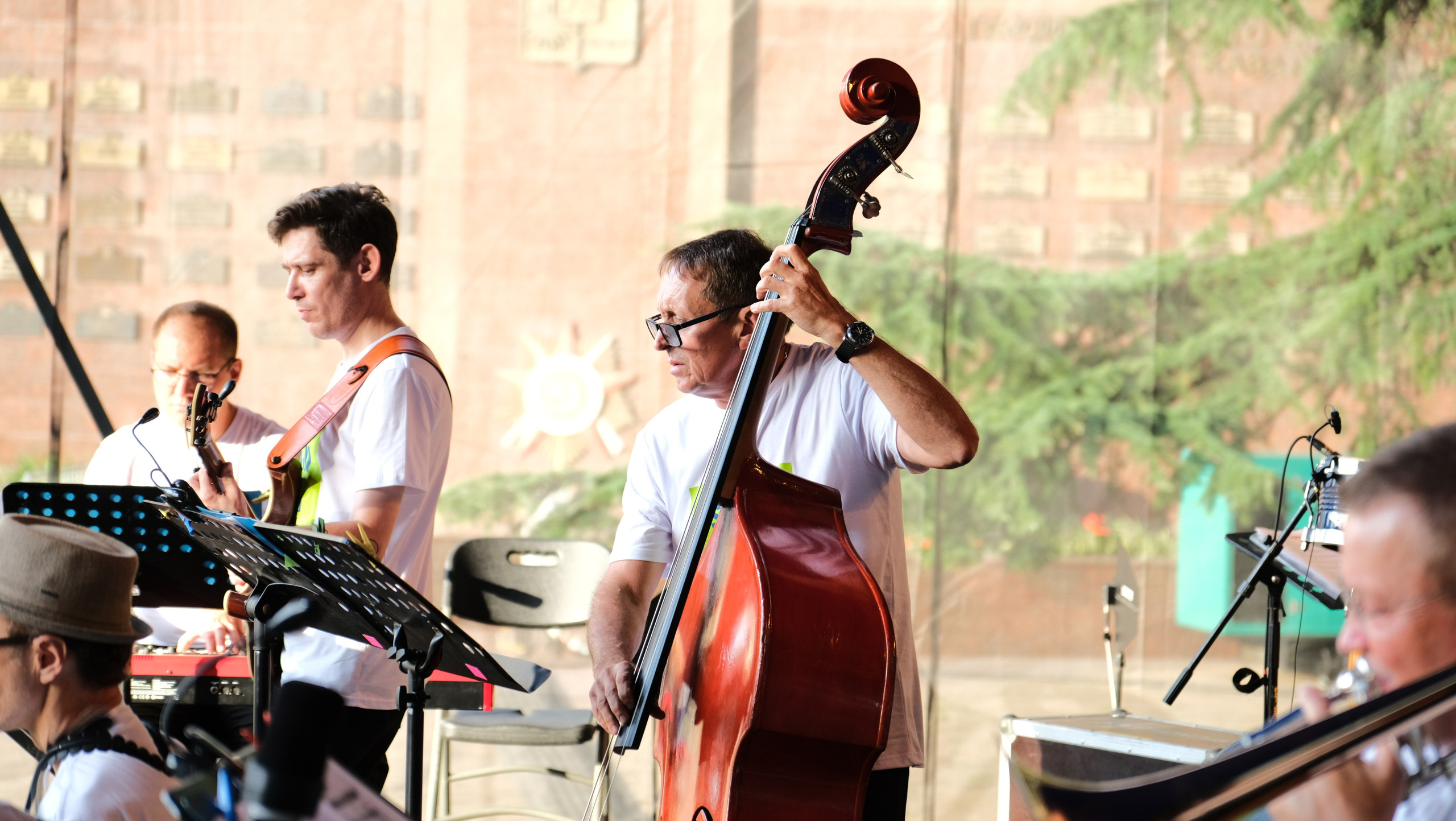 Фестиваль Джаза в Сочи. Фотограф Сочи Евгений Соколов