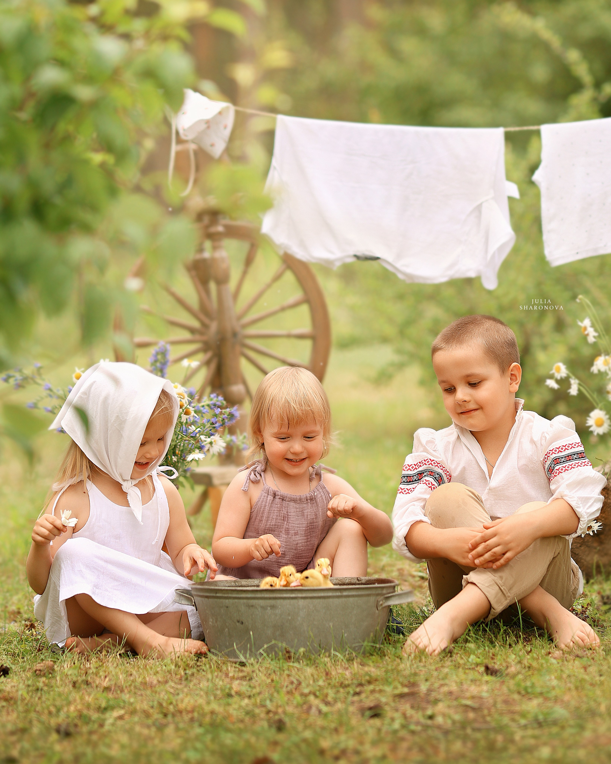 Мои работы. Юлия Шаронова — профессиональный фотограф анималист