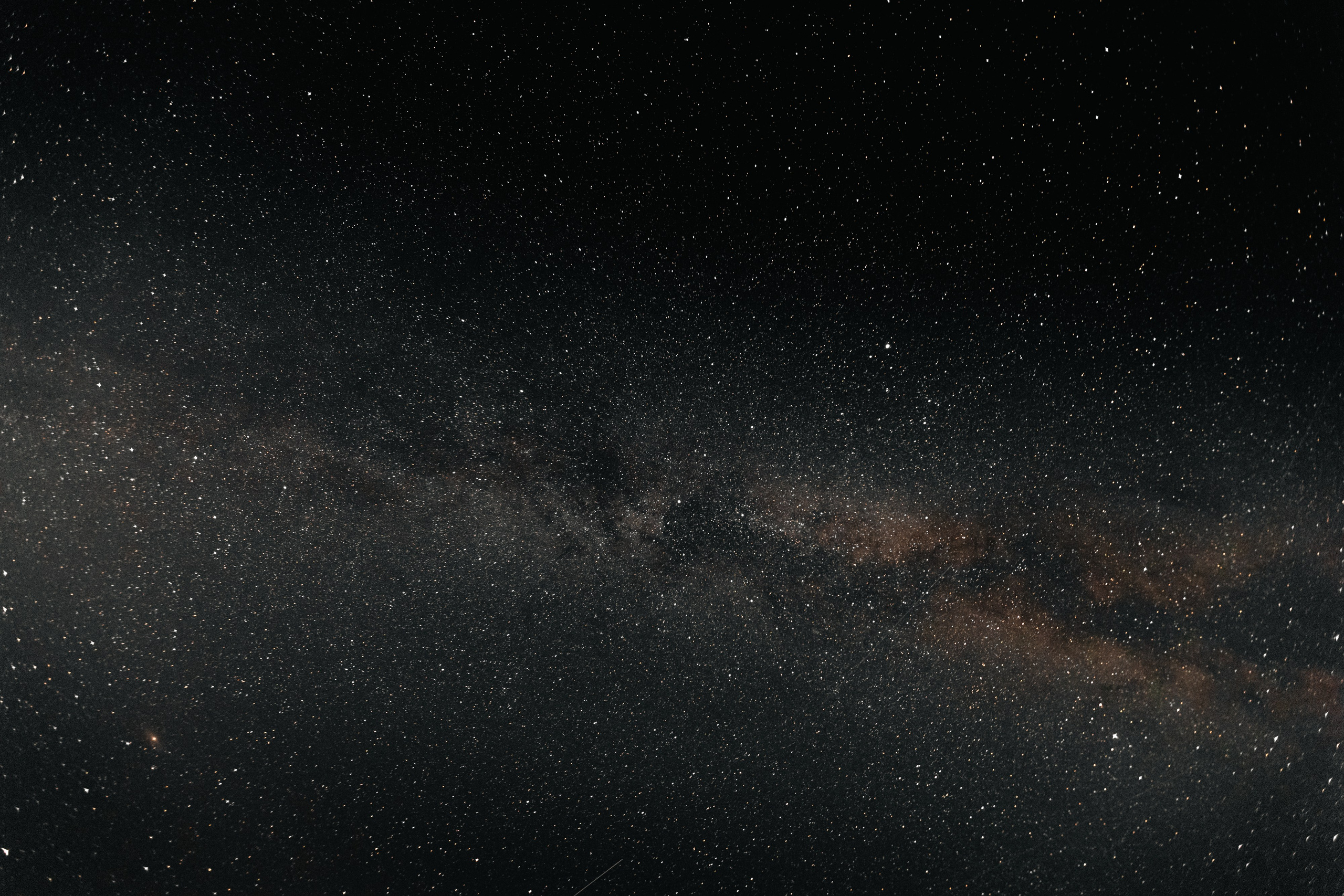 VI ОТКРЫТЫЕ КИНОЛОГИЧЕСКИЕ СОРЕВНОВАНИЯ. ЧЕЛЯБИНСКАЯ ОБЛАСТЬ 2025. Репортажный фотограф Наталья Лапцевич