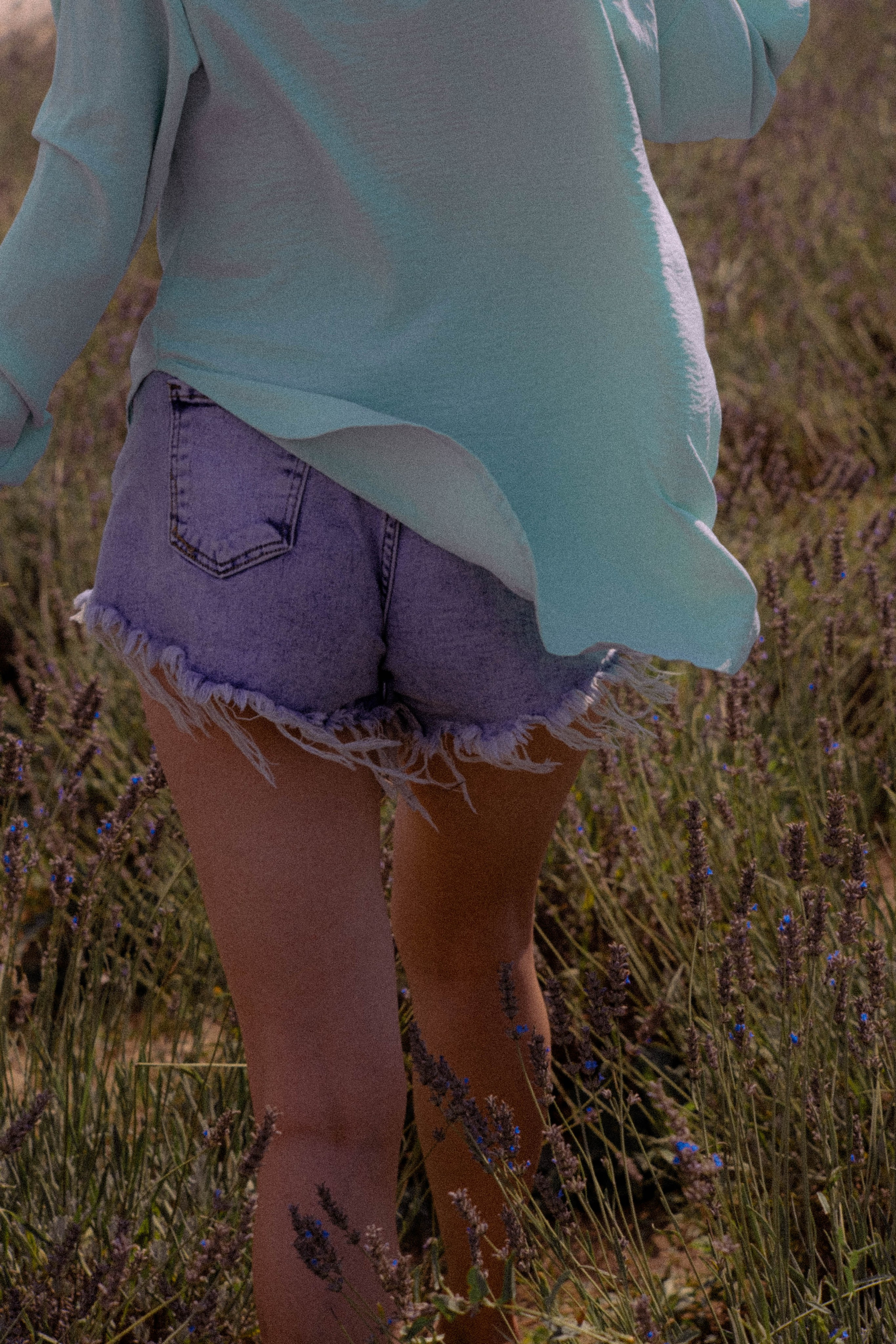 ЛАВАНВОДОВОЕ ПОЛЕ. Профессиональный фотограф, Санкт-Петербург — Виктория Богомолова