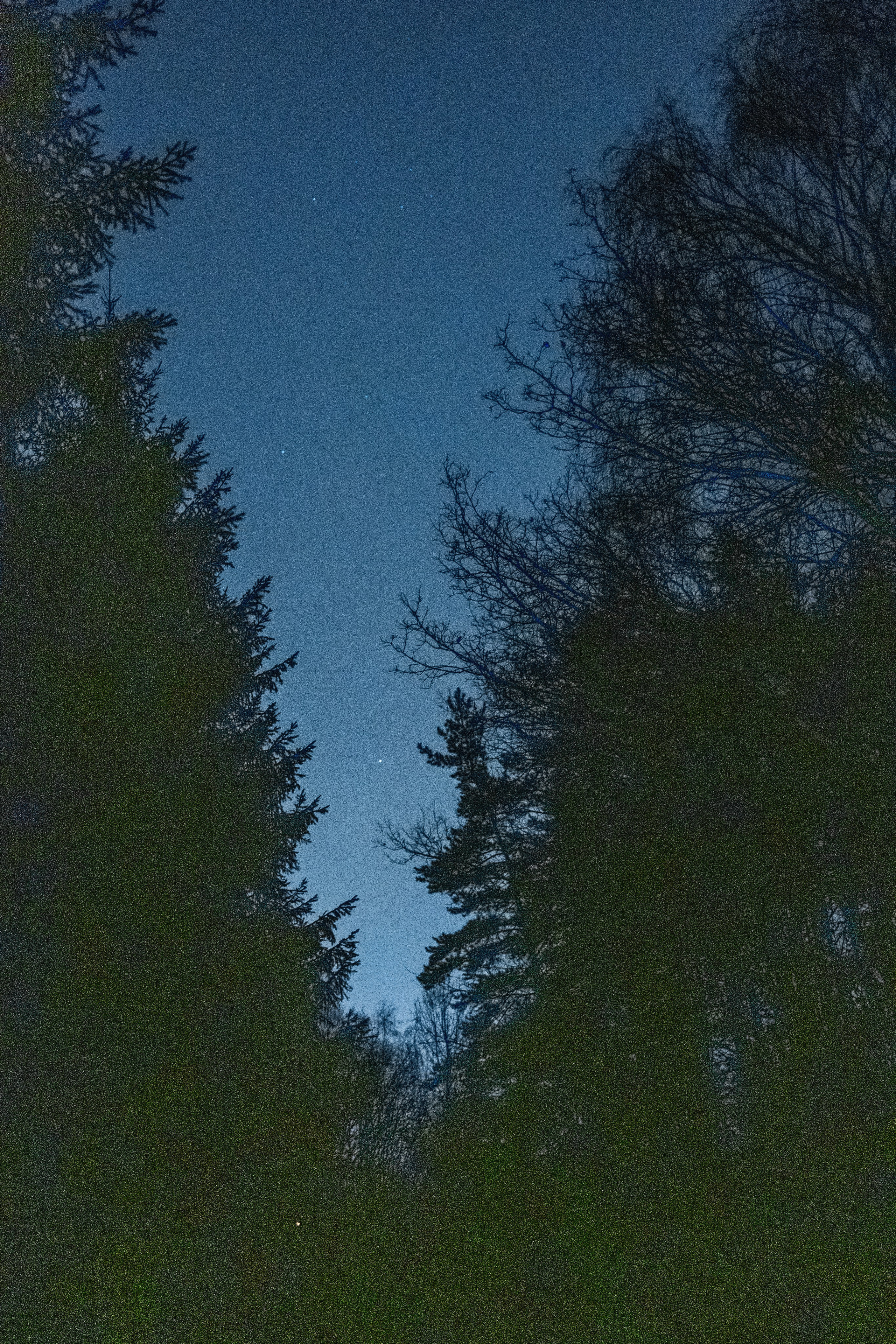 Your yool'22. Yana Bulgakova Photographhy