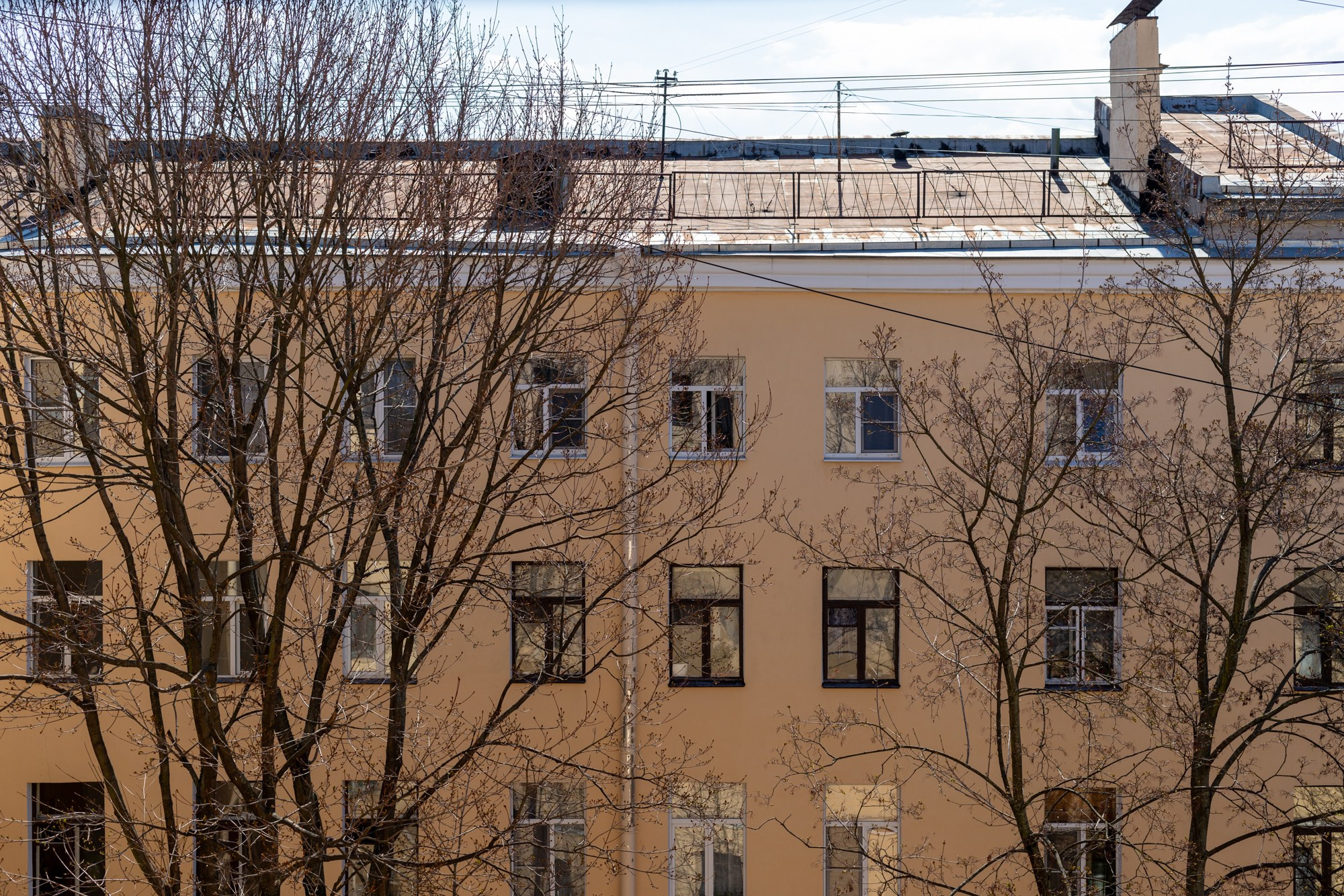 Жить на 1 линии. Полина Носкова интерьерный фотограф