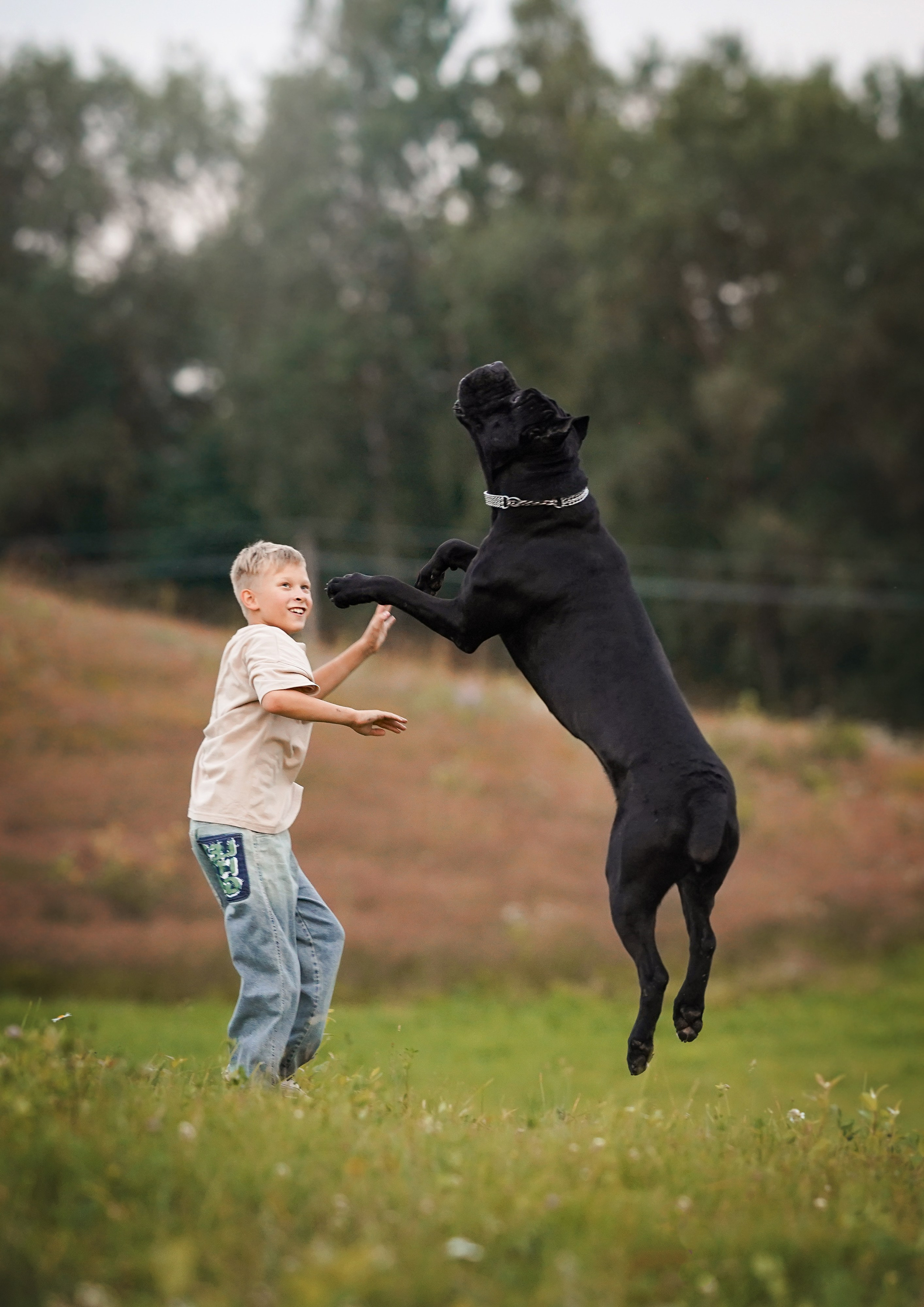 Юлия Костя и Виннер. Фотограф-анималист в Санкт-Петербурге Яна Мартынова