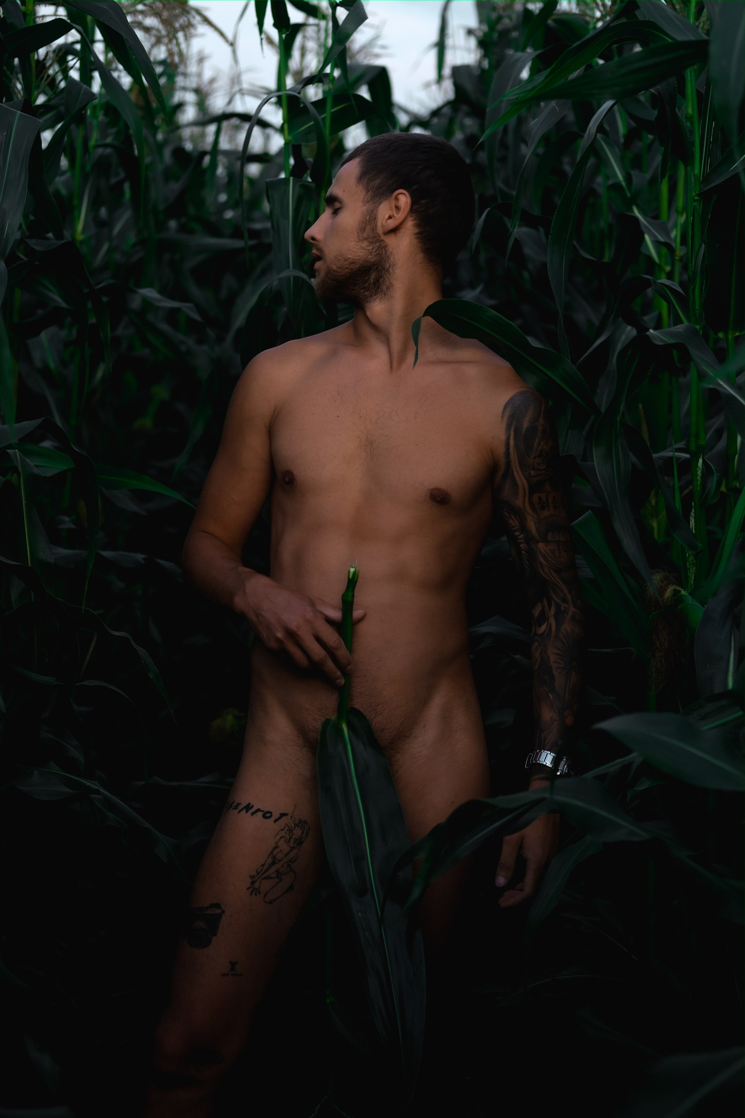 Голый мужчина в кукурузном поле. Фотограф и контентмейкер Света Лето | Москва, МО