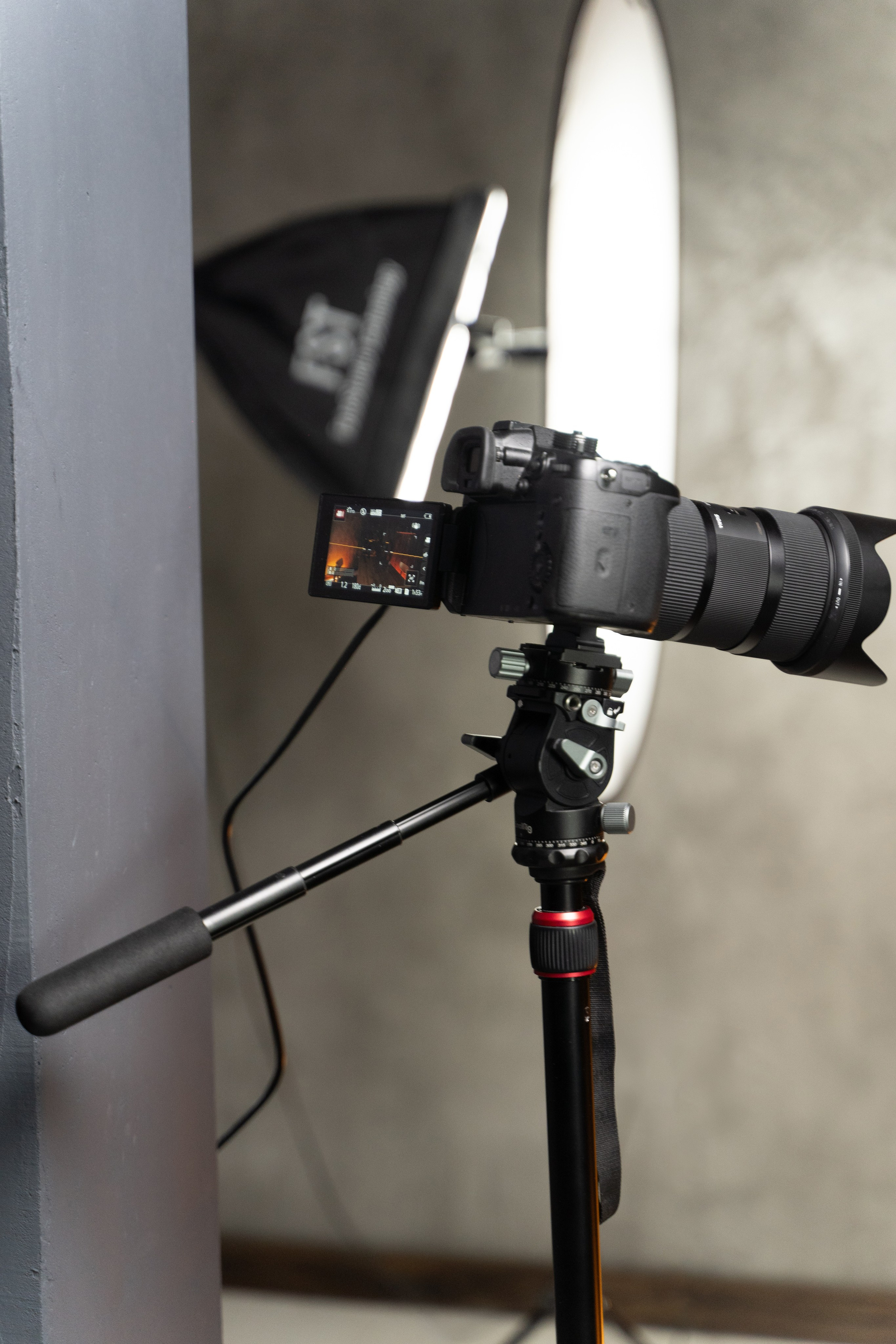 Интерьерная. Kamelia Candy фотограф Самара/ Москва