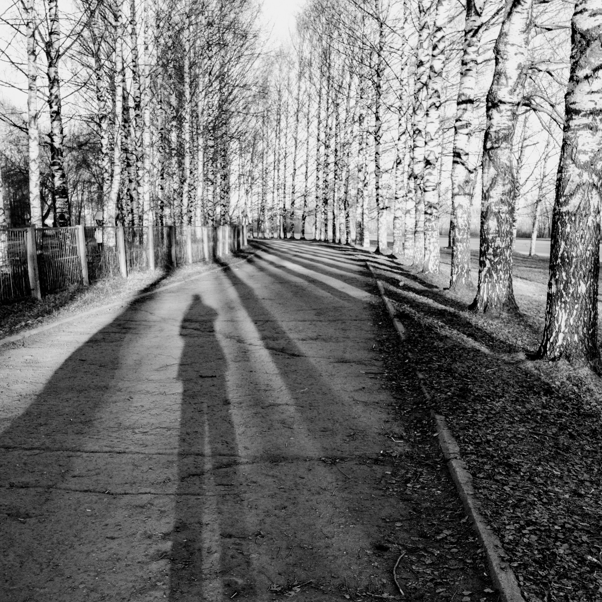 Автопортрет. Фотограф Александр Тихонов