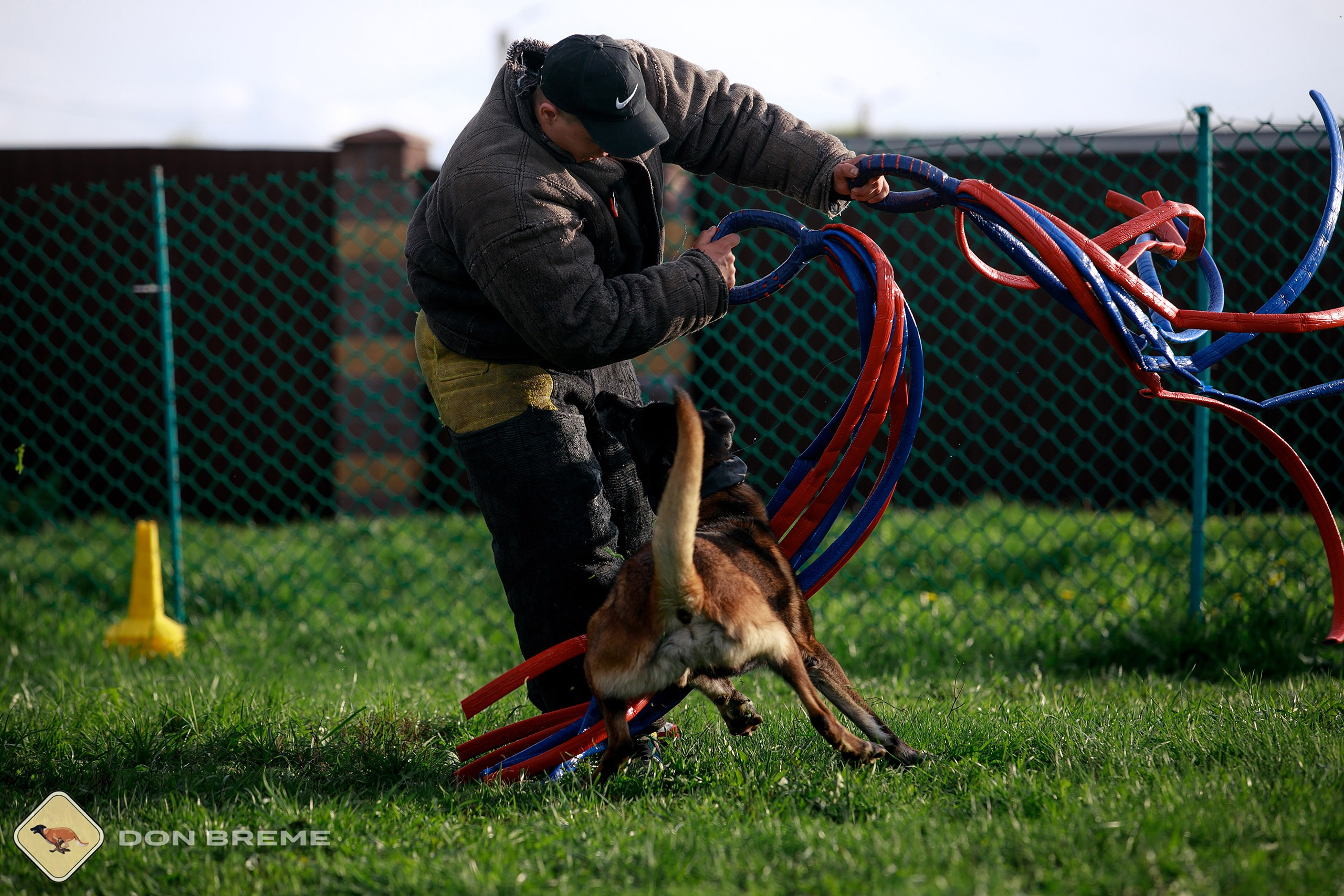 Семинар для фигурантов, день 2. Фотограф-анималист Mary Mart — Москва, Питер