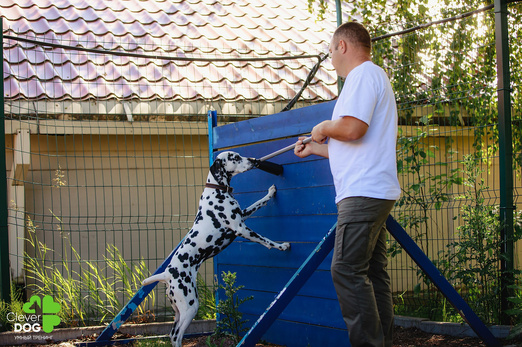 Семинар по поиску запаха с Иваном Ломовым, организатор CleverDog, СПб. Фотограф-анималист Mary Mart — Москва, Питер