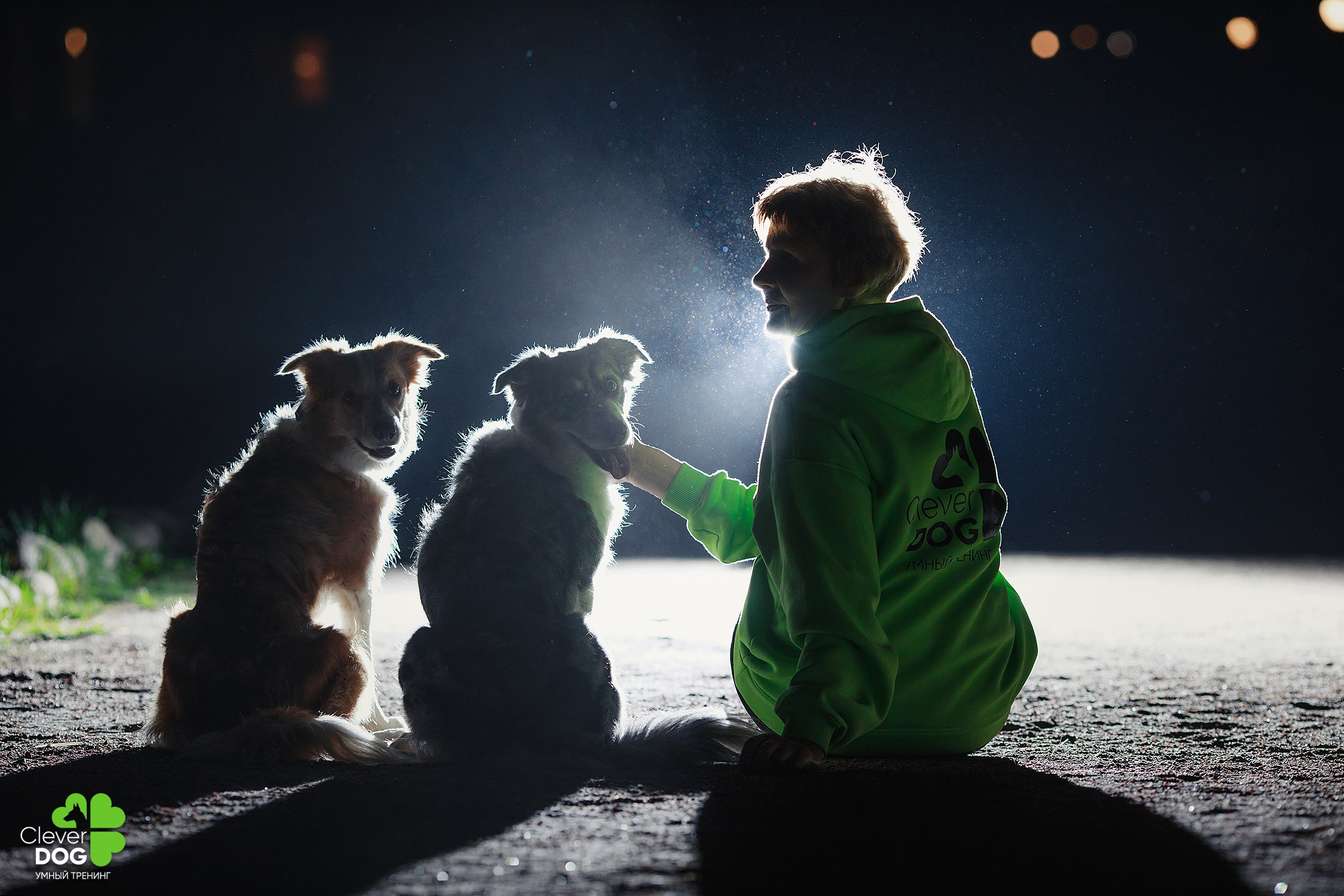 Кинологический лагерь CleverDog, 2024. Фотограф-анималист Mary Mart — Москва, Питер