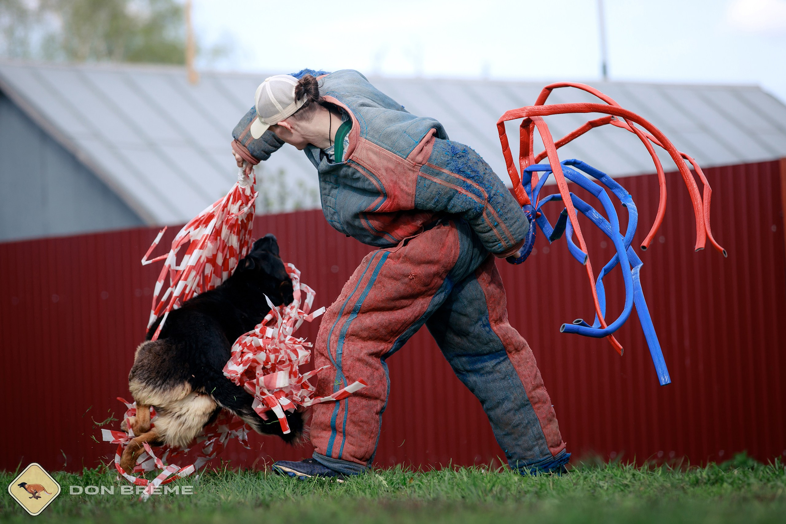 Семинар для фигурантов, день 2. Фотограф-анималист Mary Mart — Москва, Питер