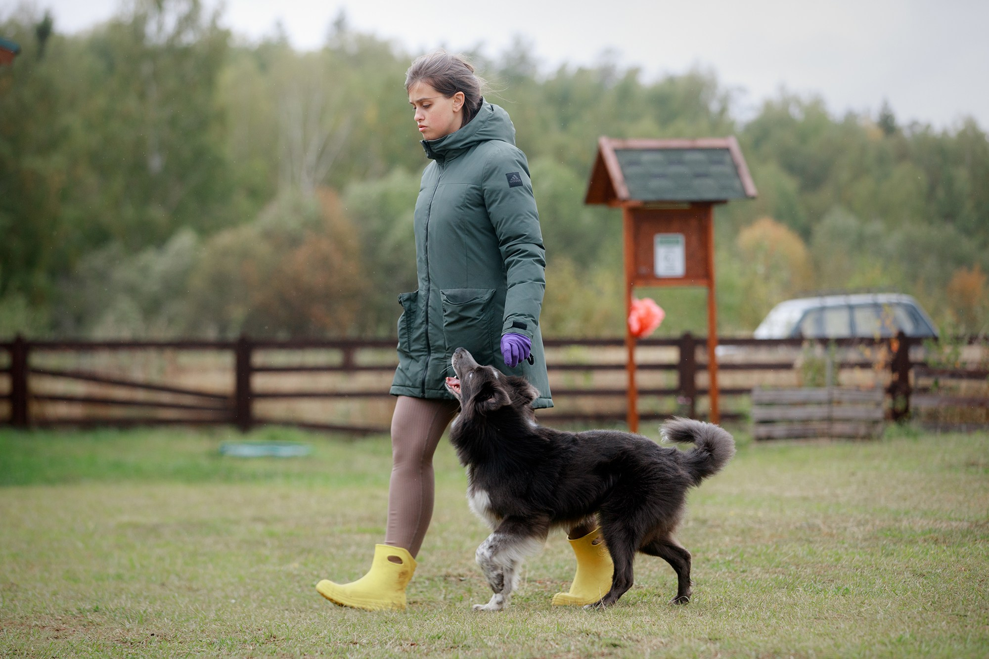 Лагерь по ОБД с Инной Баженовой. Фотограф-анималист Mary Mart — Москва, Питер