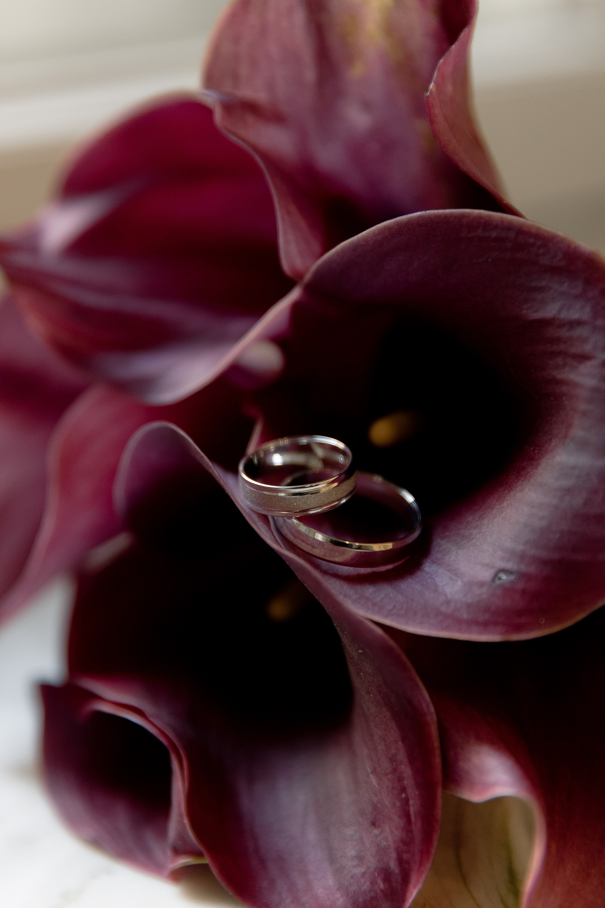 Ксения и Роман. Свадебный фотограф Фадеева Алёна