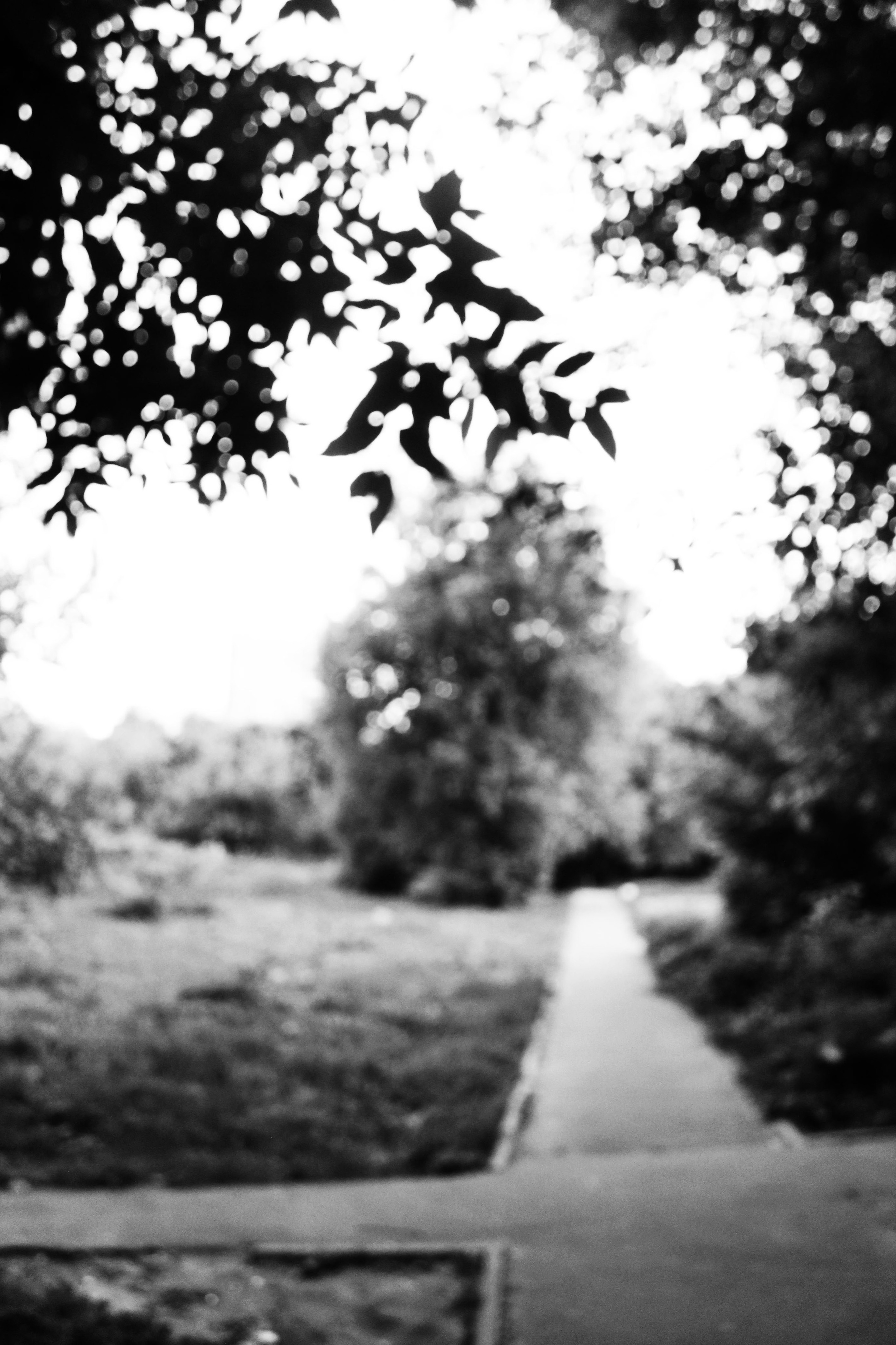 Мои первые работы. Фотограф из Москвы — DASHA NOVA | Авторская фотография в разных жанрах