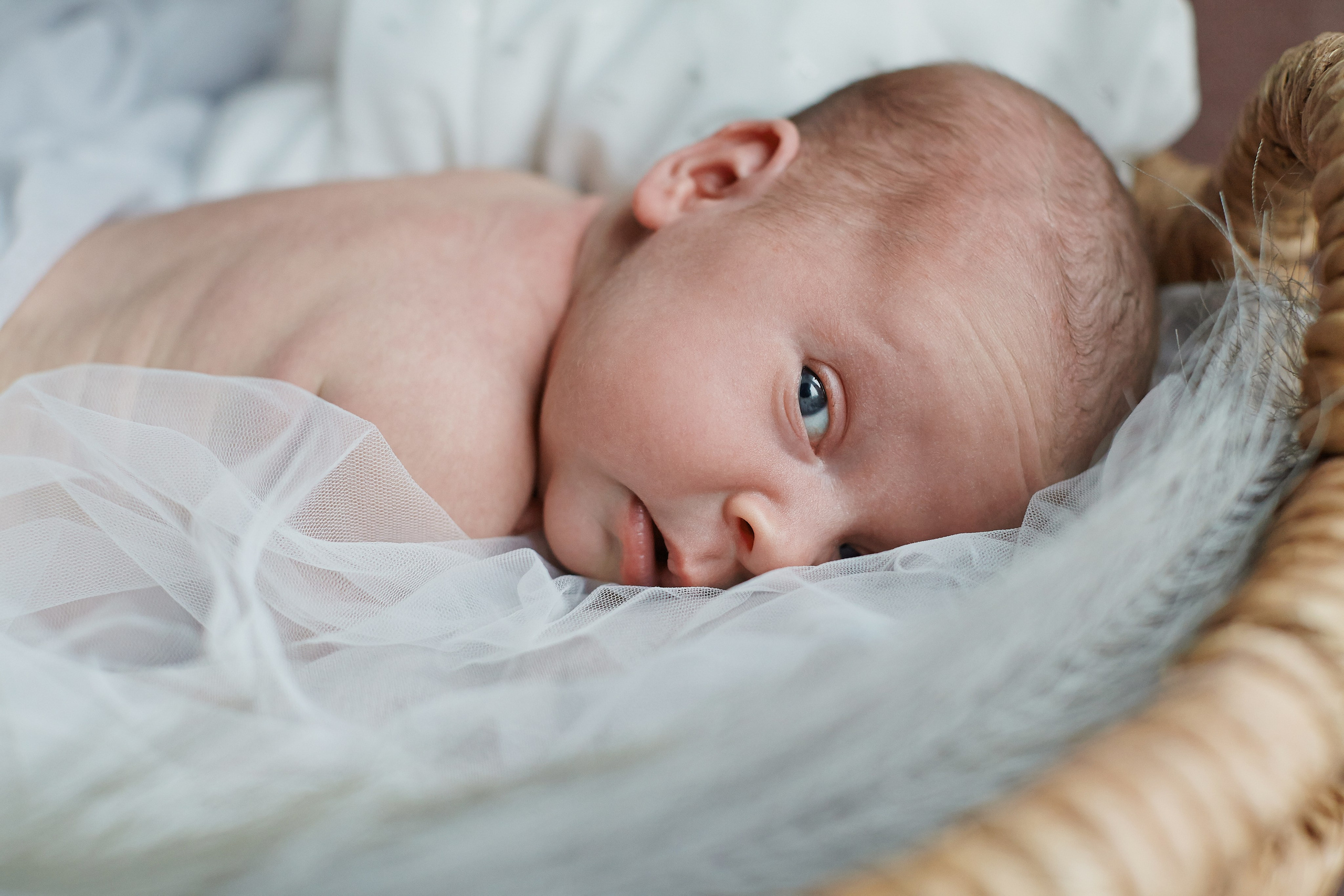 Есения. Фотограф Ольга Ефремова