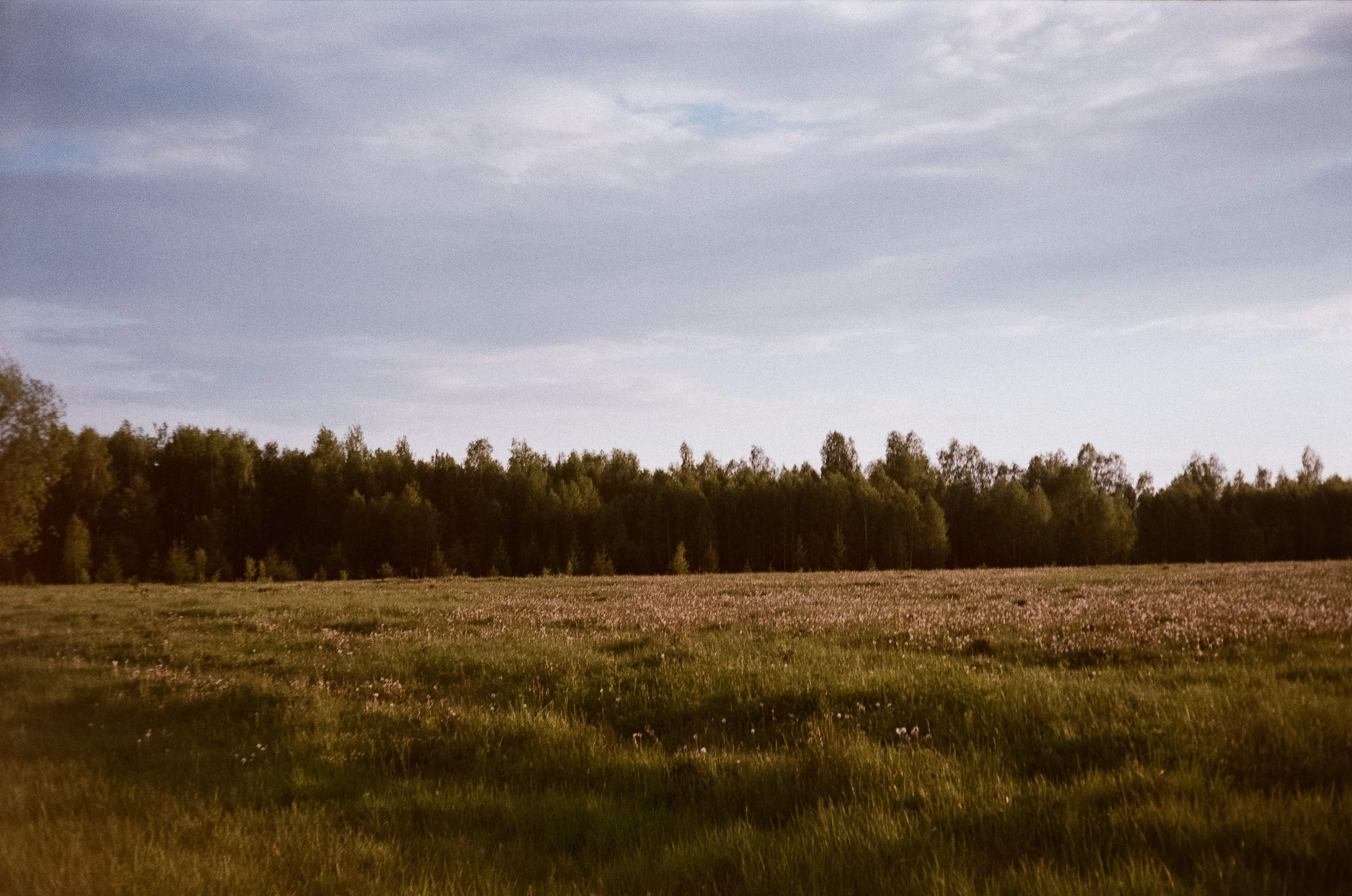 Konica IIIA / Fujicolor Superia 200 (просрочка) / Благовещенский переу