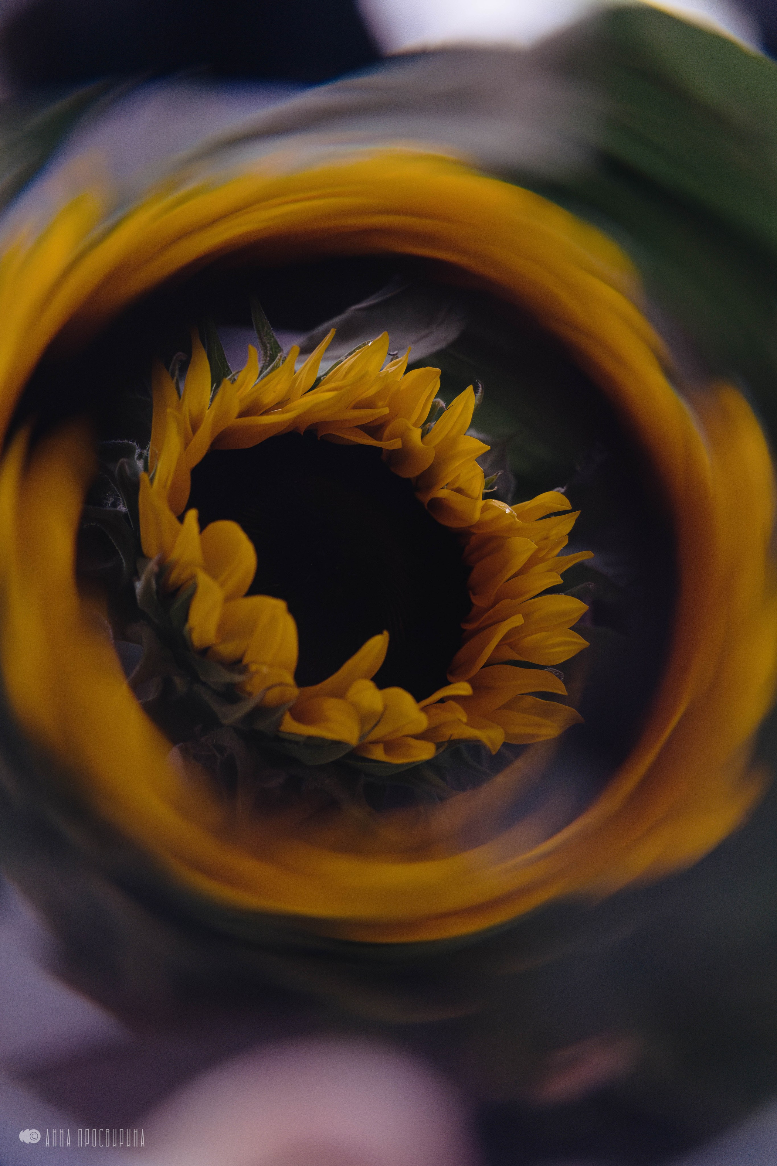 Джазовый концерт, бар Interview. Ваш фотограф в Санкт-Петербурге Анна Просвирина