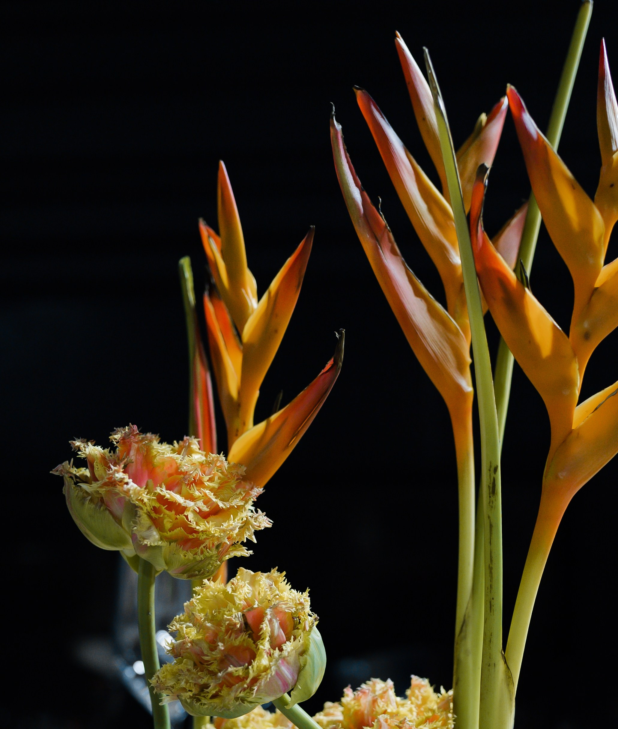 От луны до марса