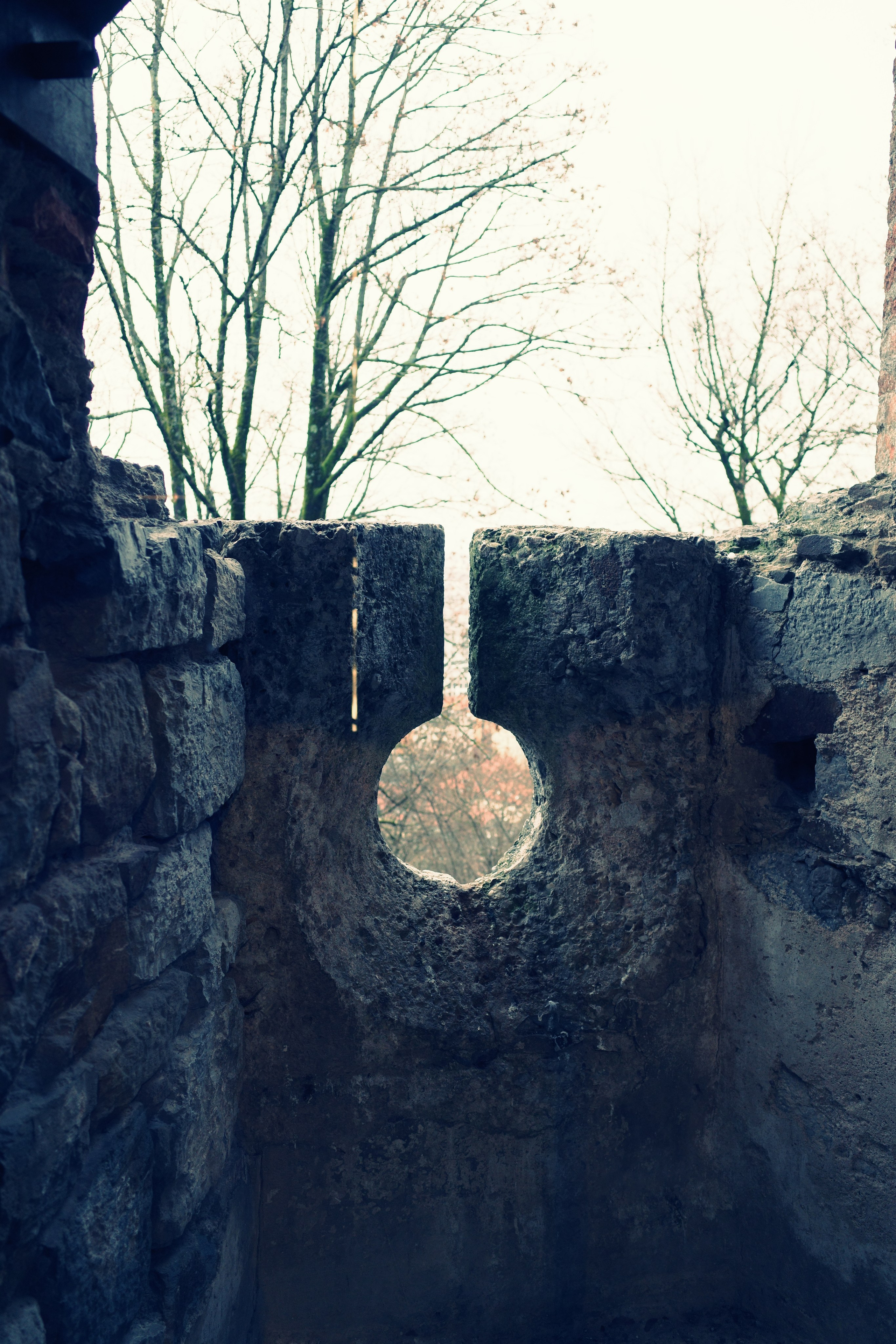 Словения. Фотографирую для себя, своей семьи и друзей!