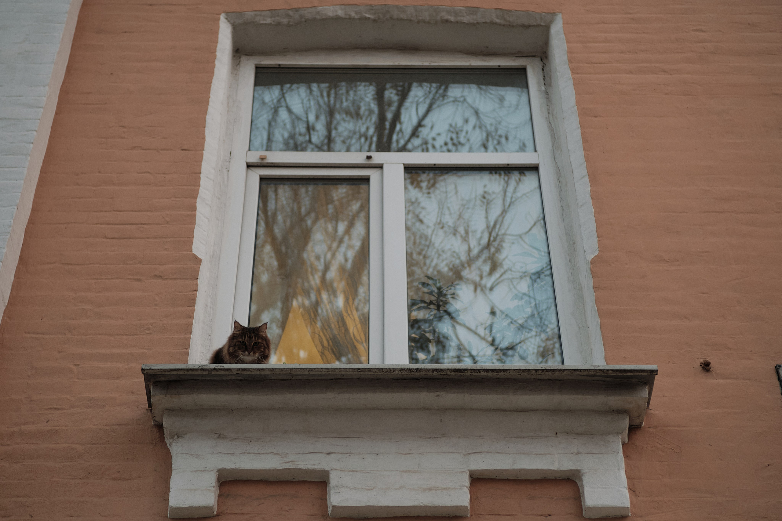 Котики. Фотограф портретный архитектурный лавстори будуар Санкт-Петербург Виктор Иванов