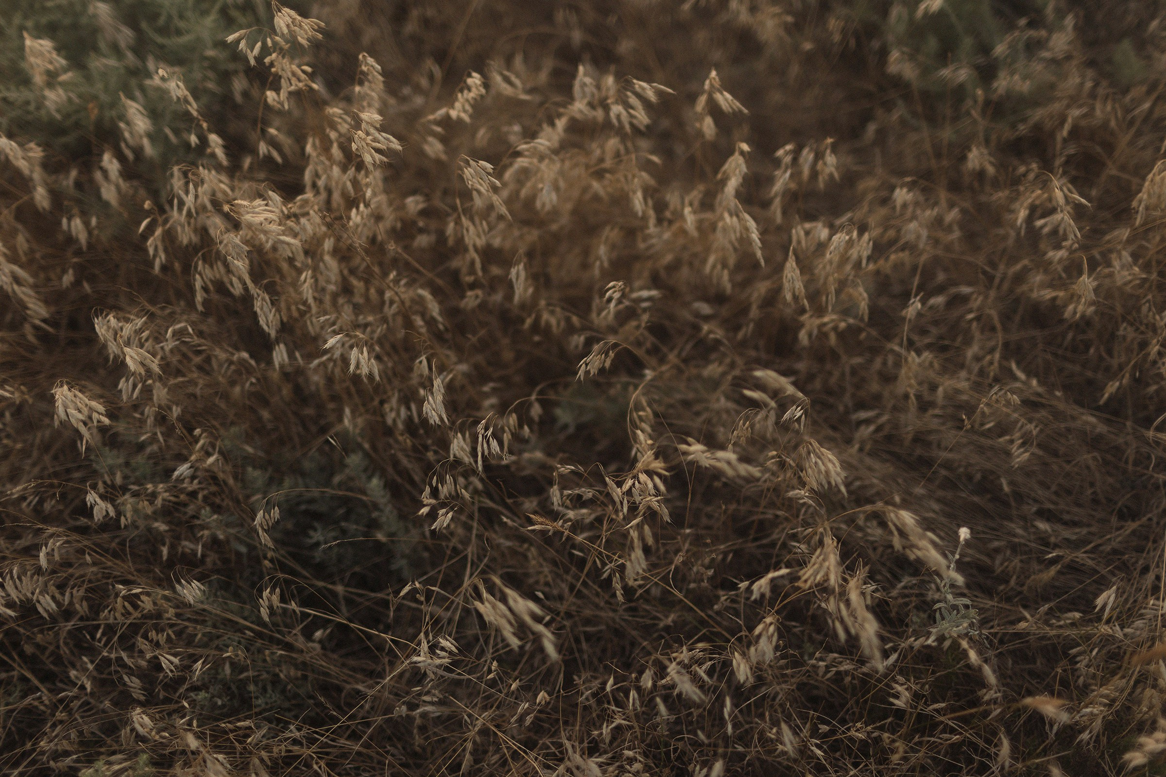 На вершине. Sovushka DS