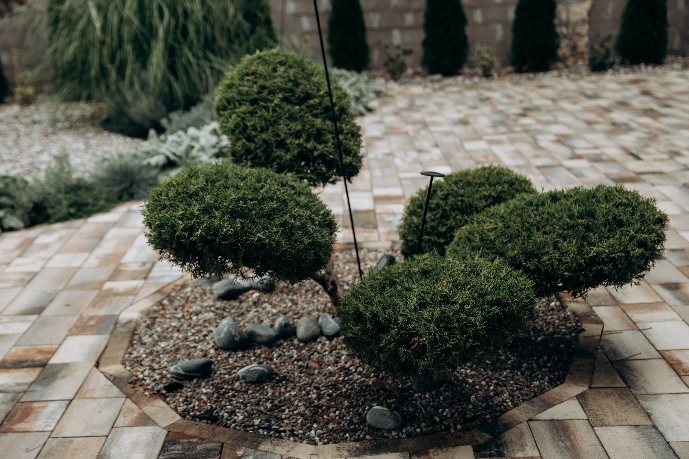 Съёмка для компании INTEQ HAUS из Москвы. Фотограф в Крыму — Федор зайцев. Свадебная, семейная и портретная съёмка. Фотографии для контента, для бизнеса. Корпоративная съёмка