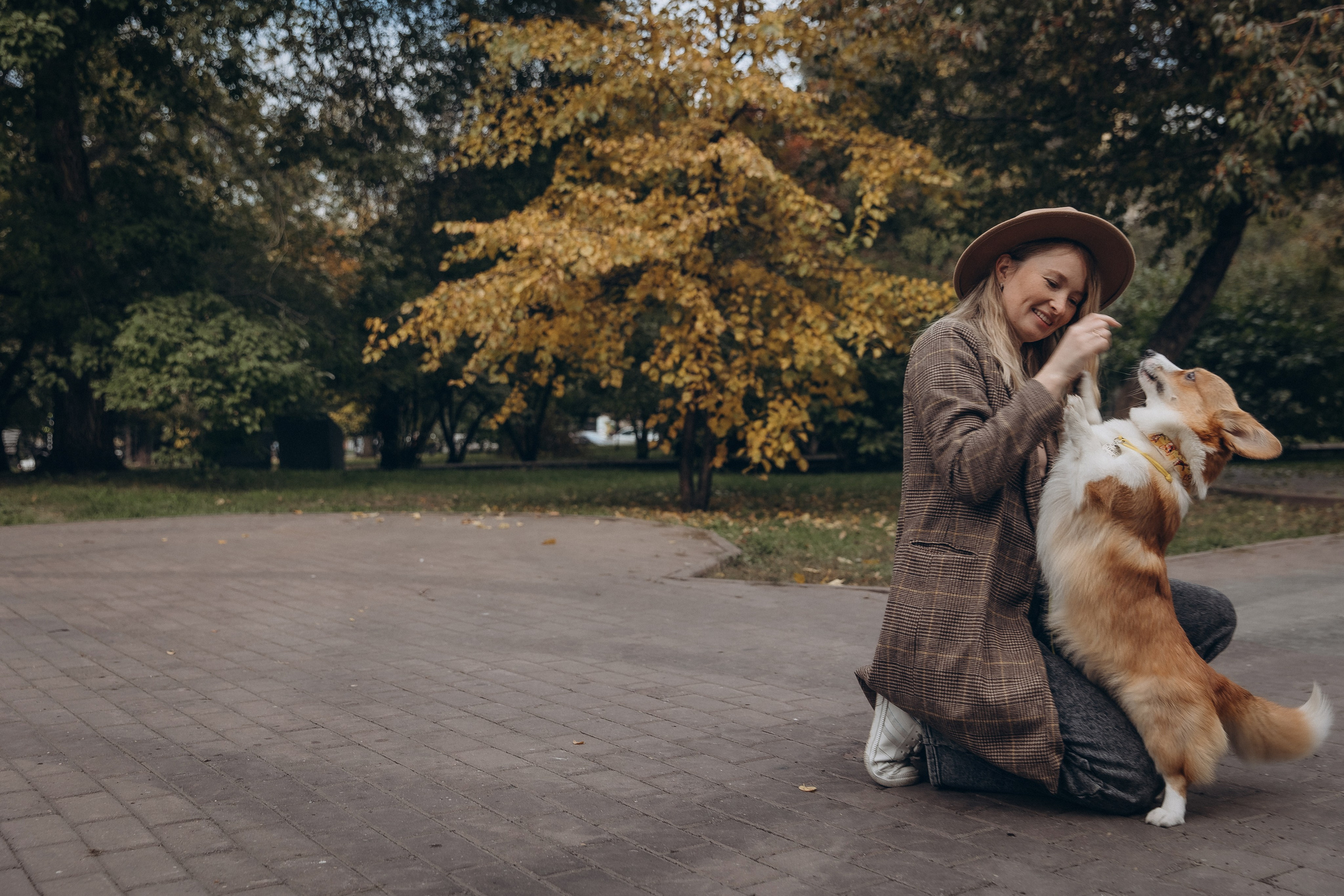 «Королевский Корги» 2. Фотограф Алина Ионычева в Новосибирске