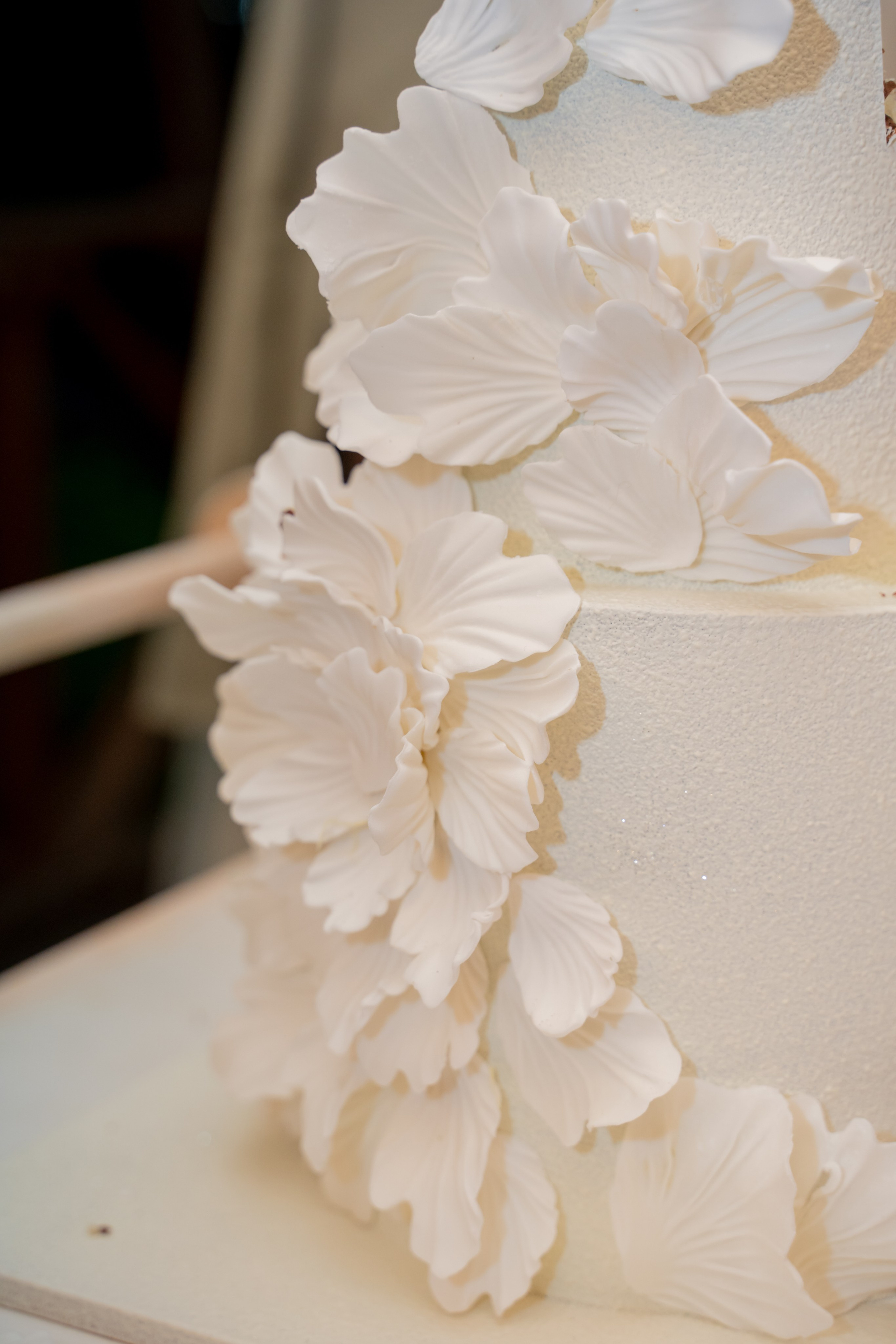 Александра и Даниил. Главная