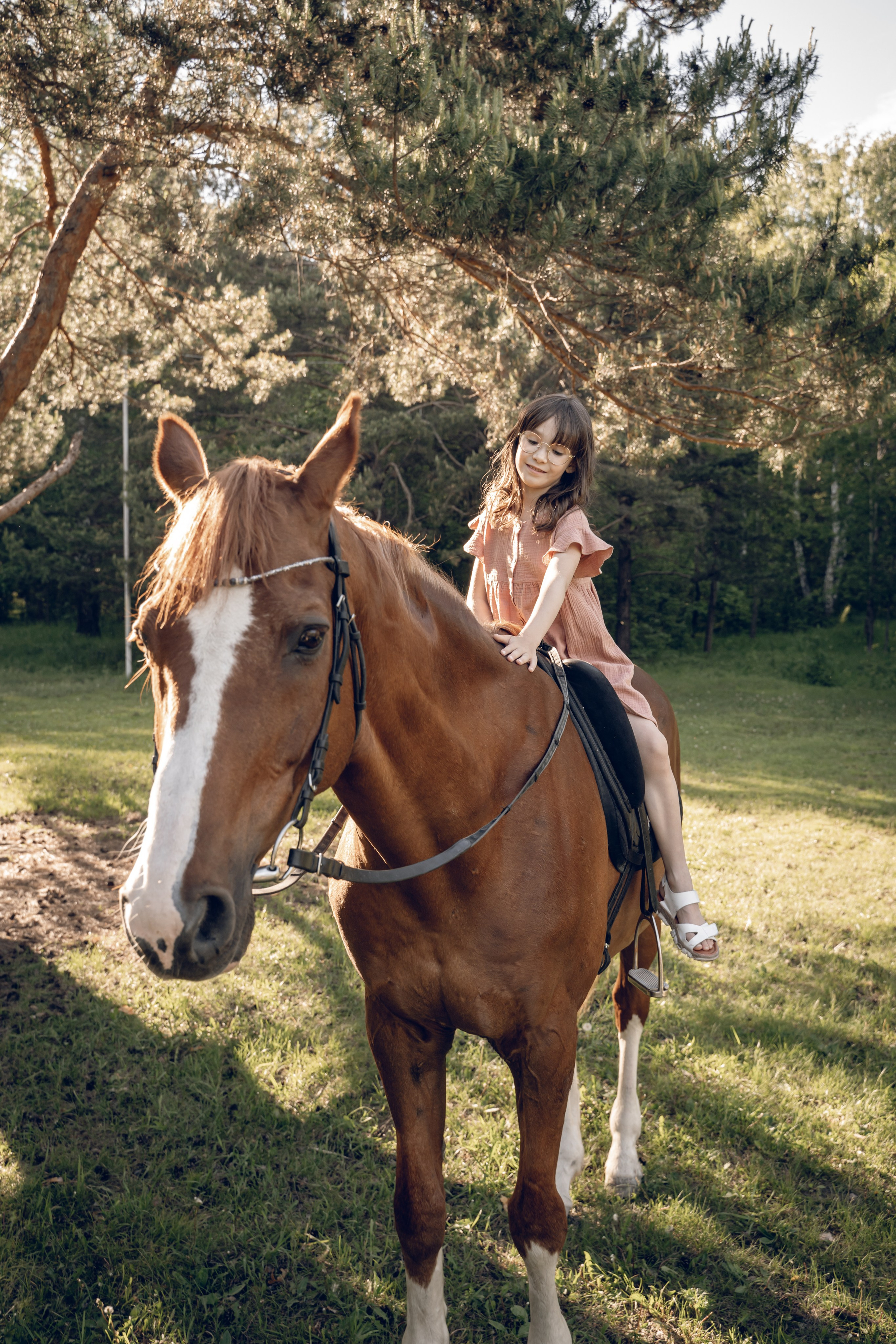 Семейная история с лошадьми. Главная