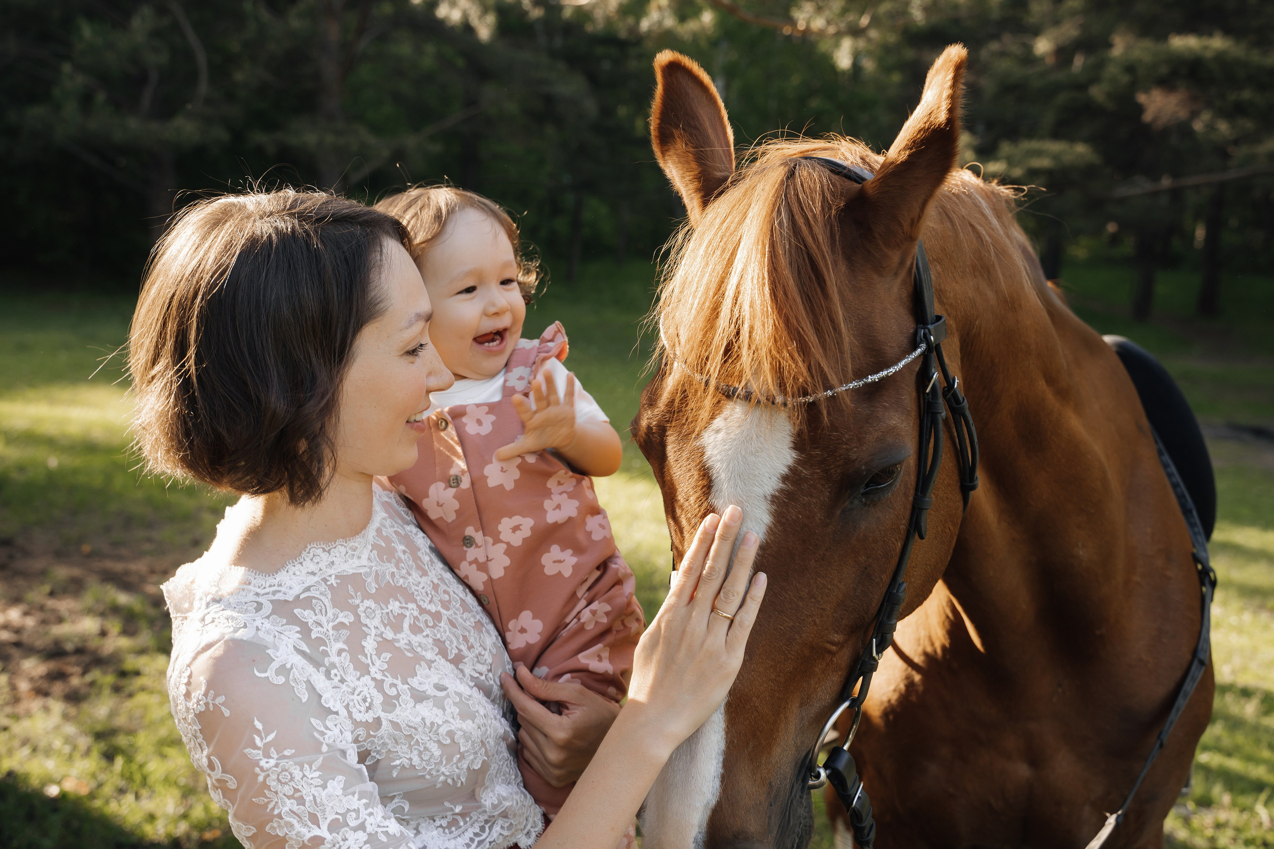 Семейная история с лошадьми. Главная