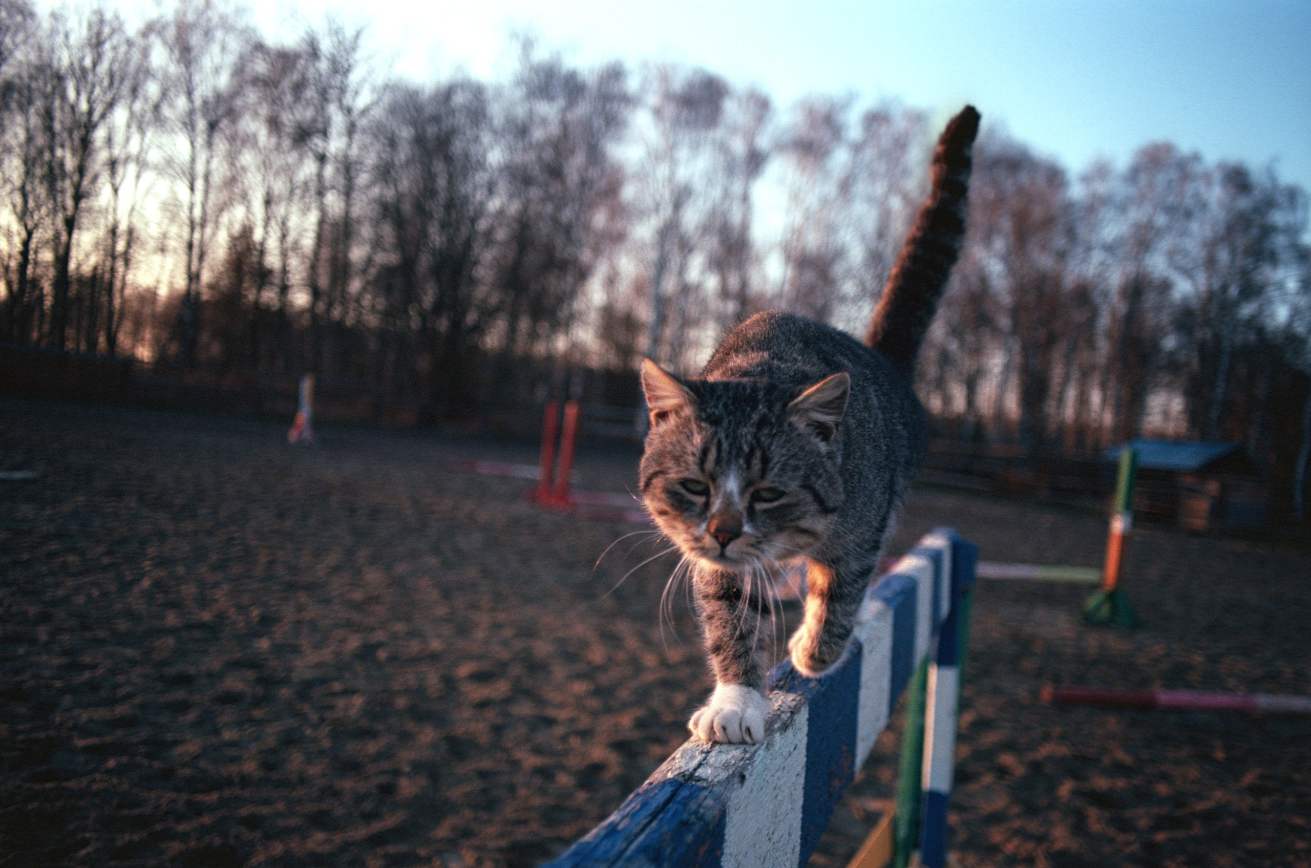 Пленочная фотография Олег Кузнецов. Artkapella|Олег Кузнецов
