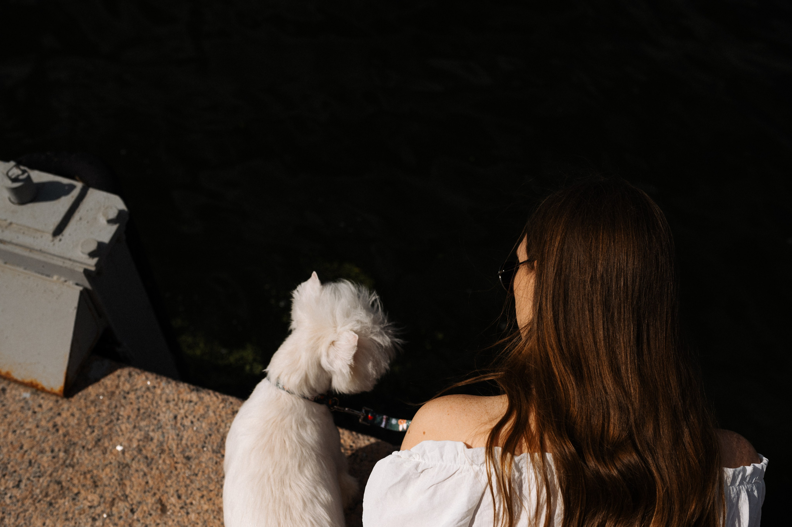 Даша и Вайт. Фотограф анималист в Москве Ольга Агушева