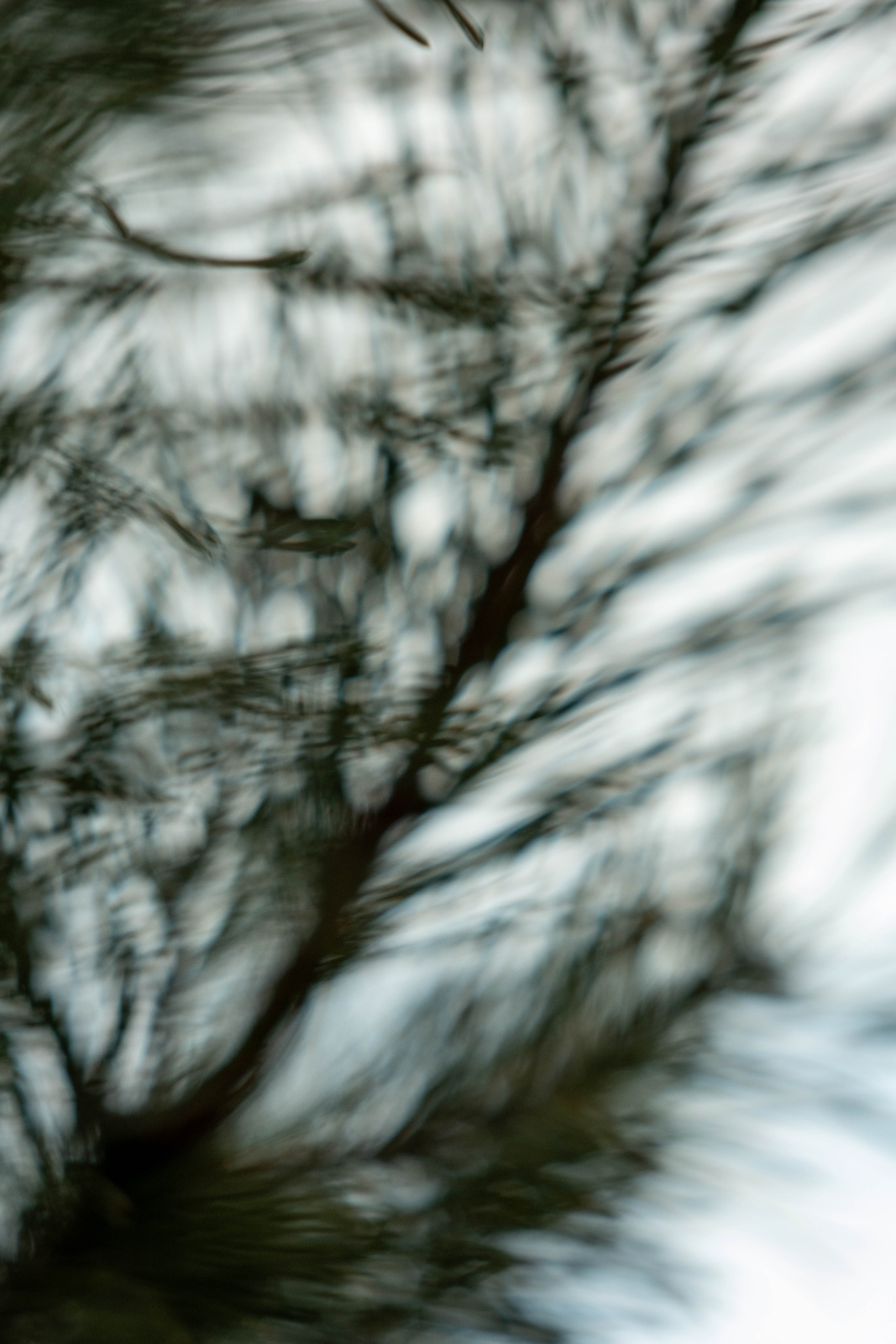 DEATHBED. Фотограф Вадим Бодылев