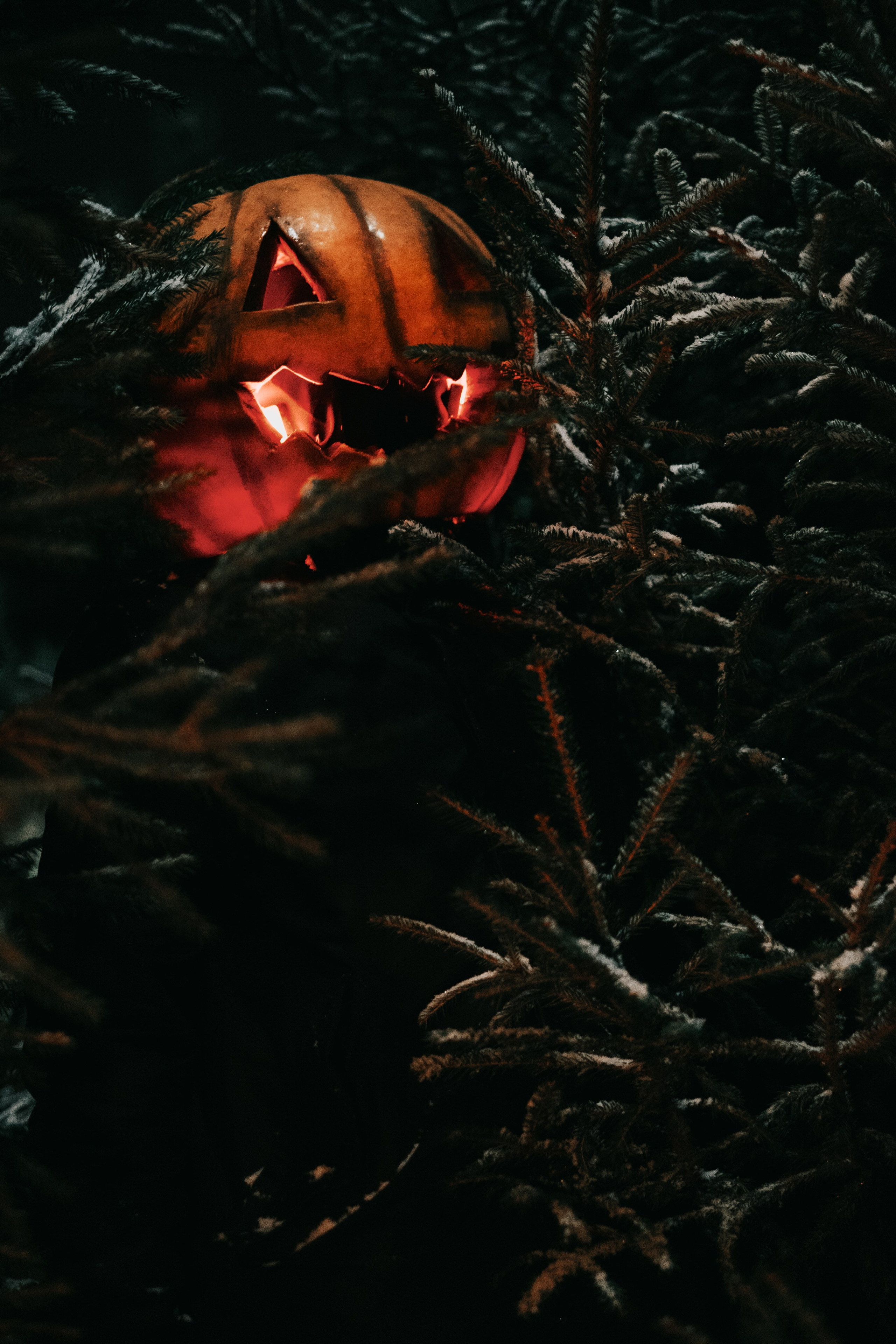 «Избранник тыквенной грядки». Фотограф (Москва, Мытищи)— Комова Анастасия