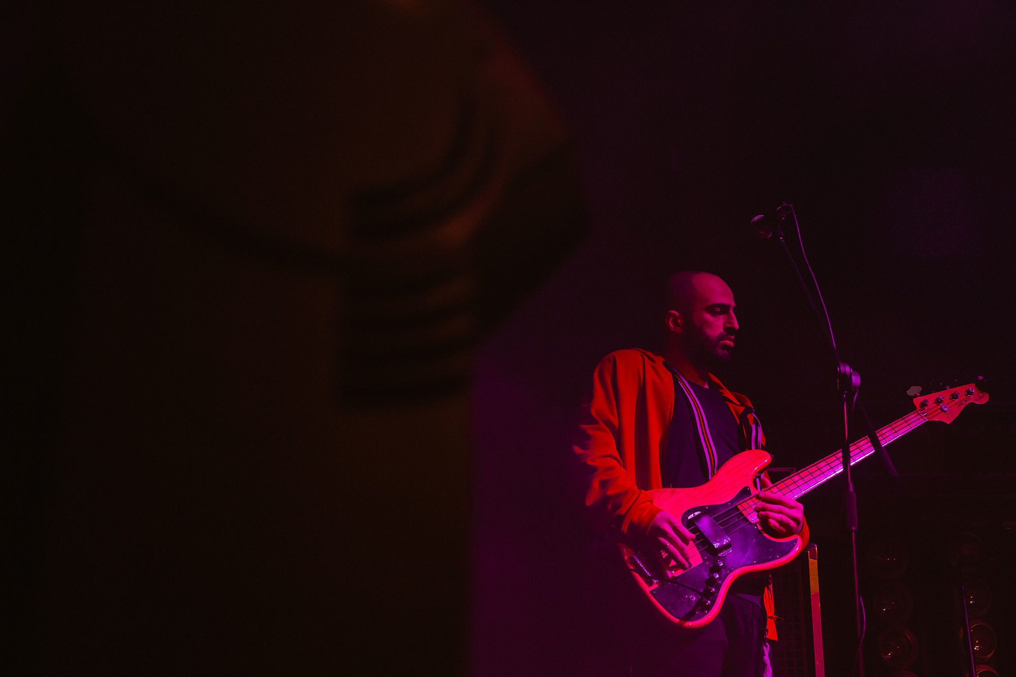 Концерт группы «Mgzavrebi», Томск, 2019. Репортажный фотограф в Томске