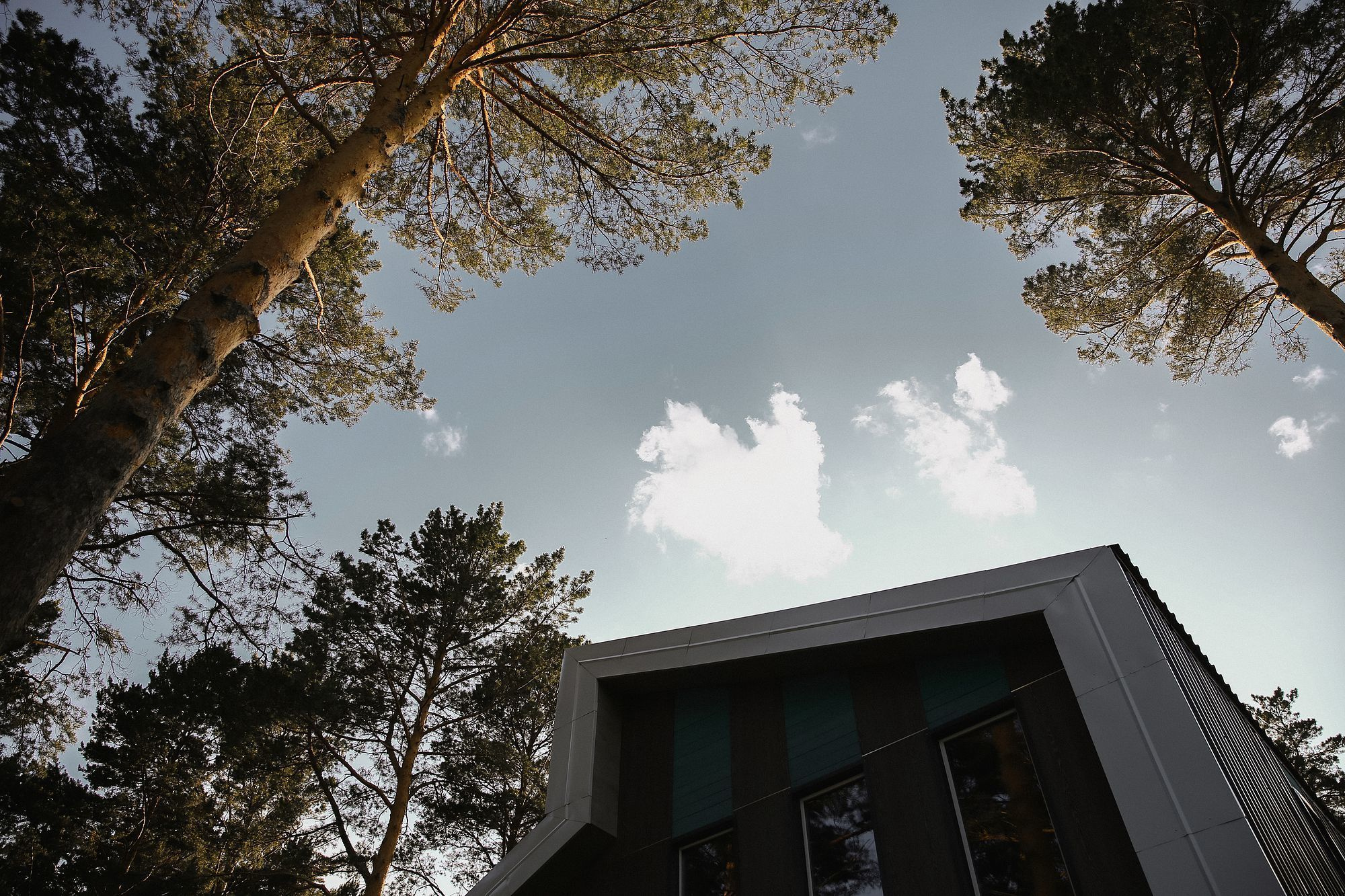 Вечеринка «Свадебные люди», Томск, 2019. Репортажный фотограф в Томске