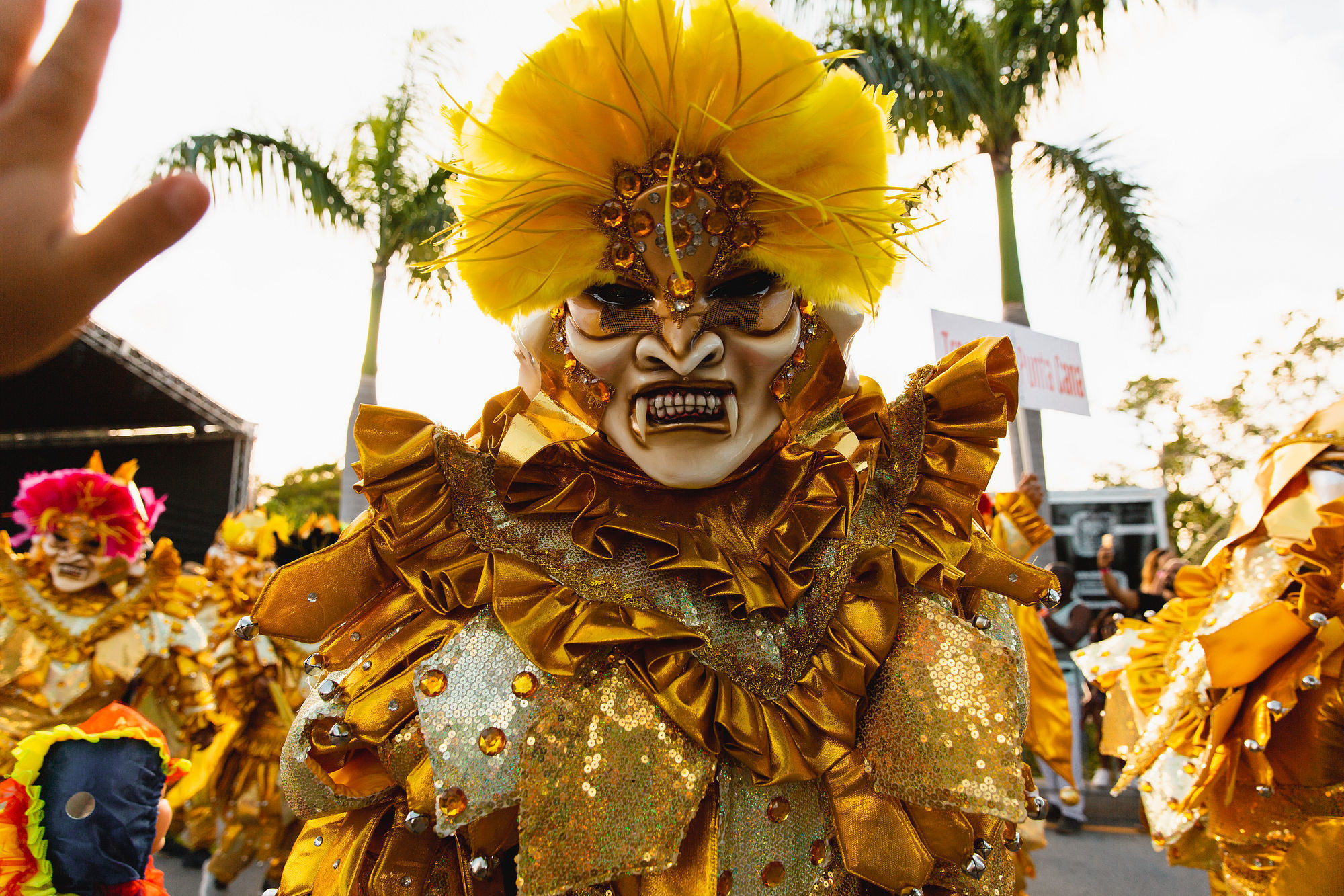 Карнавал 2019, Пунта Кана, Доминиканская Республика, 2019. Репортажный фотограф в Томске
