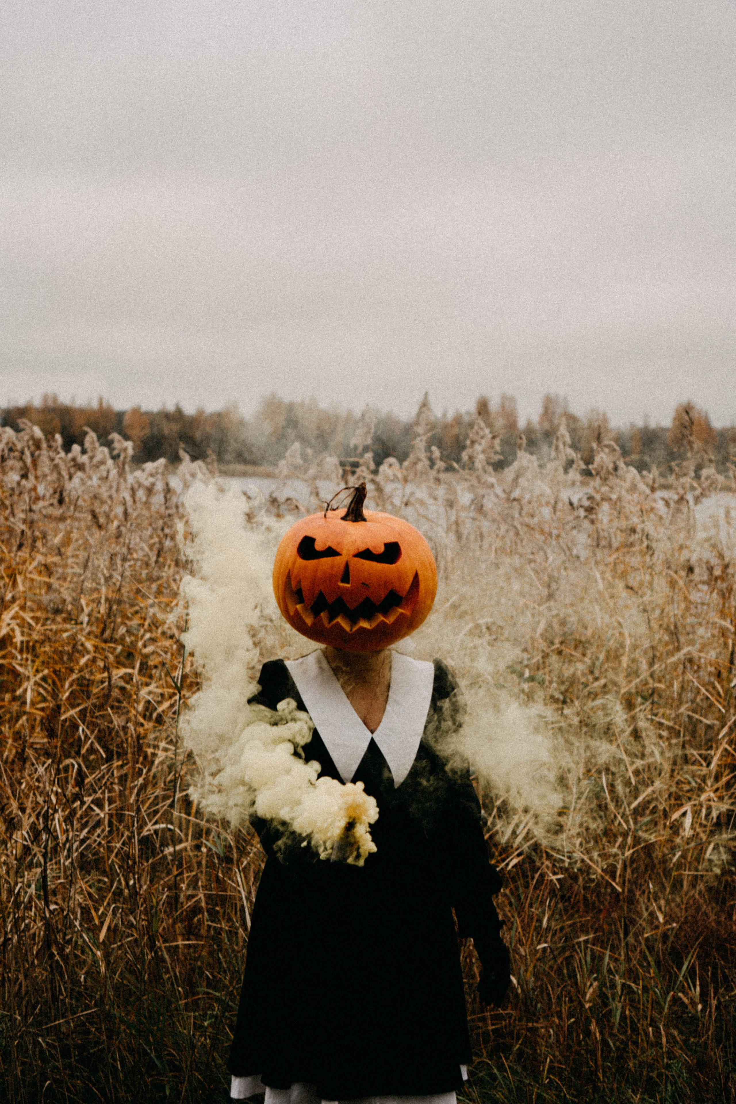 Осеняя. Профессиональный фотограф, Санкт-Петербург — Виктория Богомолова