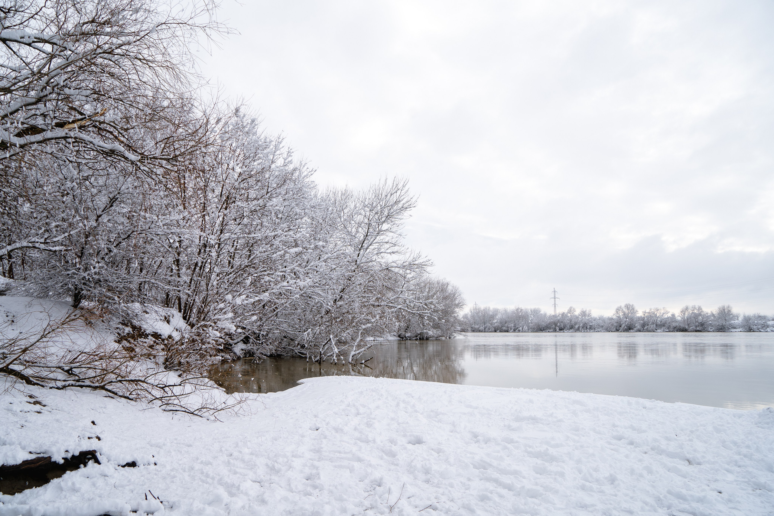 Зима 2024. Свадебный и семейный фотограф/видеограф в Краснодаре Наталья Осинская