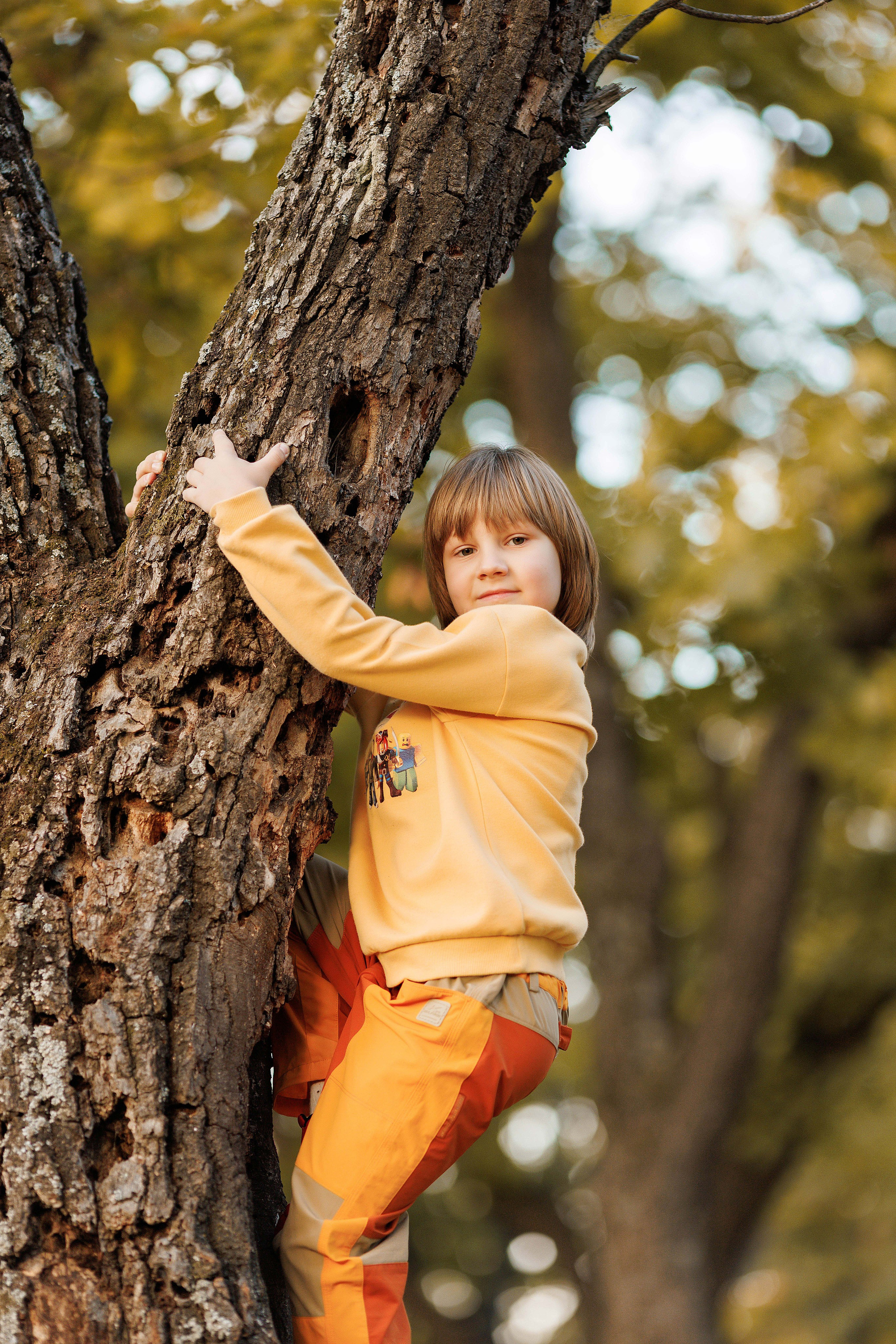 Осень Гимназия 2 класс. Photoalbum-vl.ru
