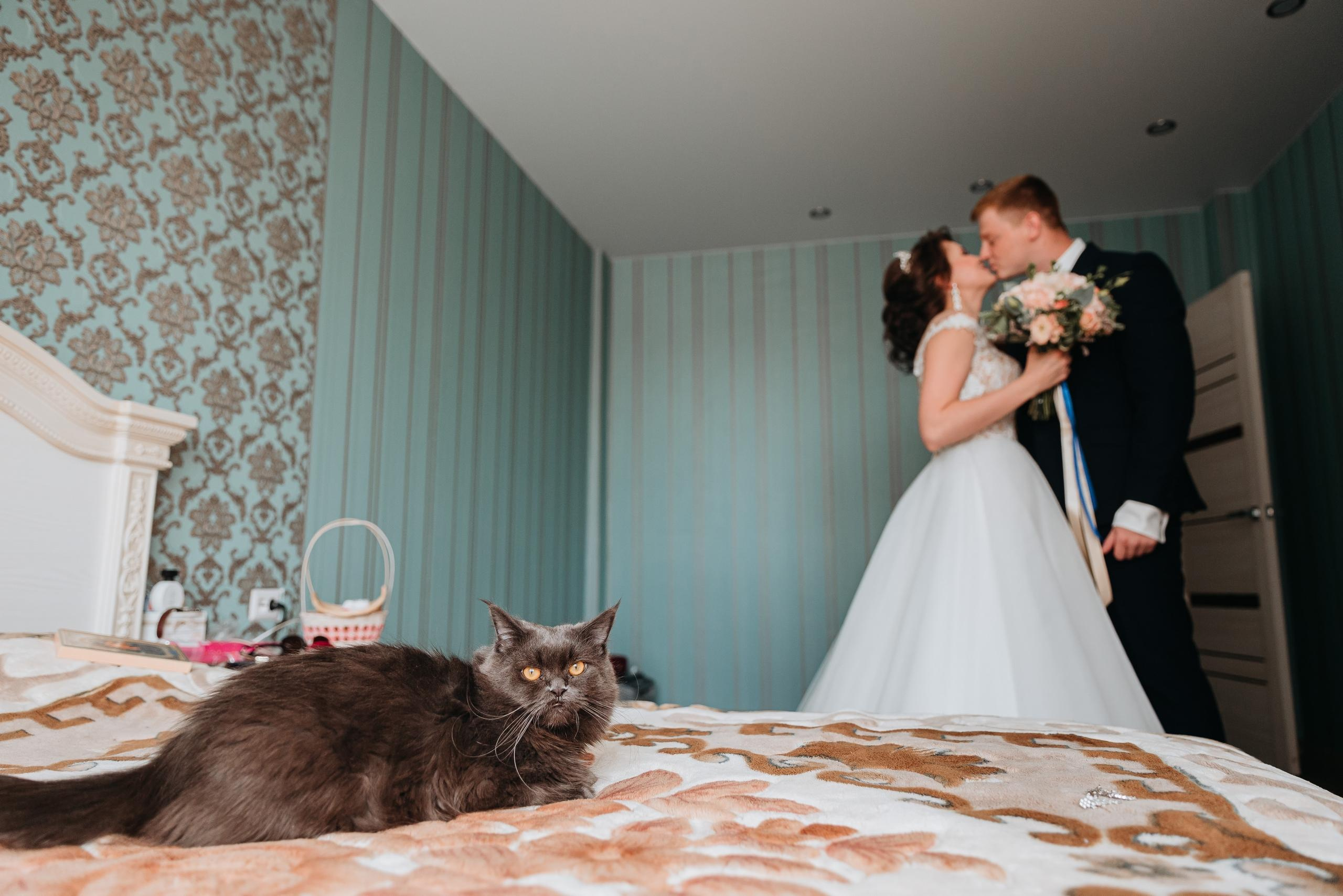 Портфолио. Kulneva Valeria