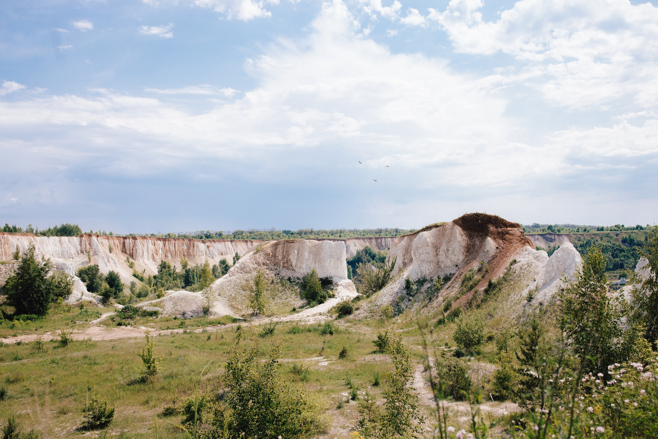 01.06.2019 Ольга и Александр. Kulneva Valeria