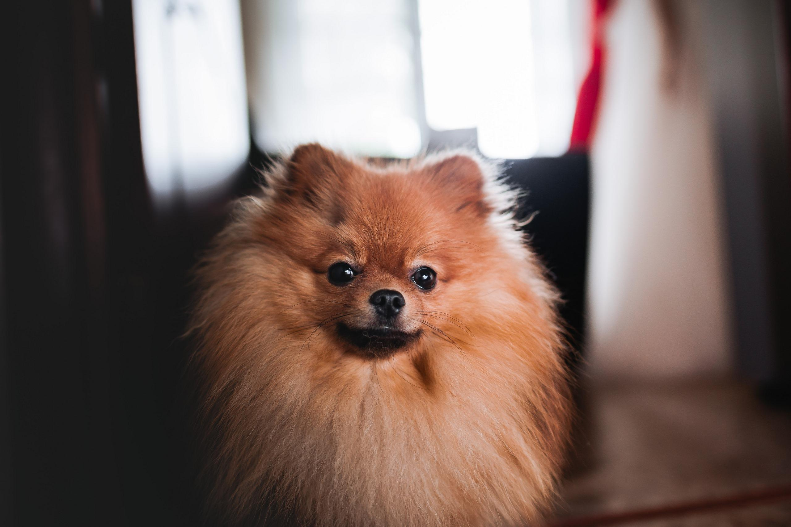 03.08.2019 Екатерина и Анатолий. Kulneva Valeria