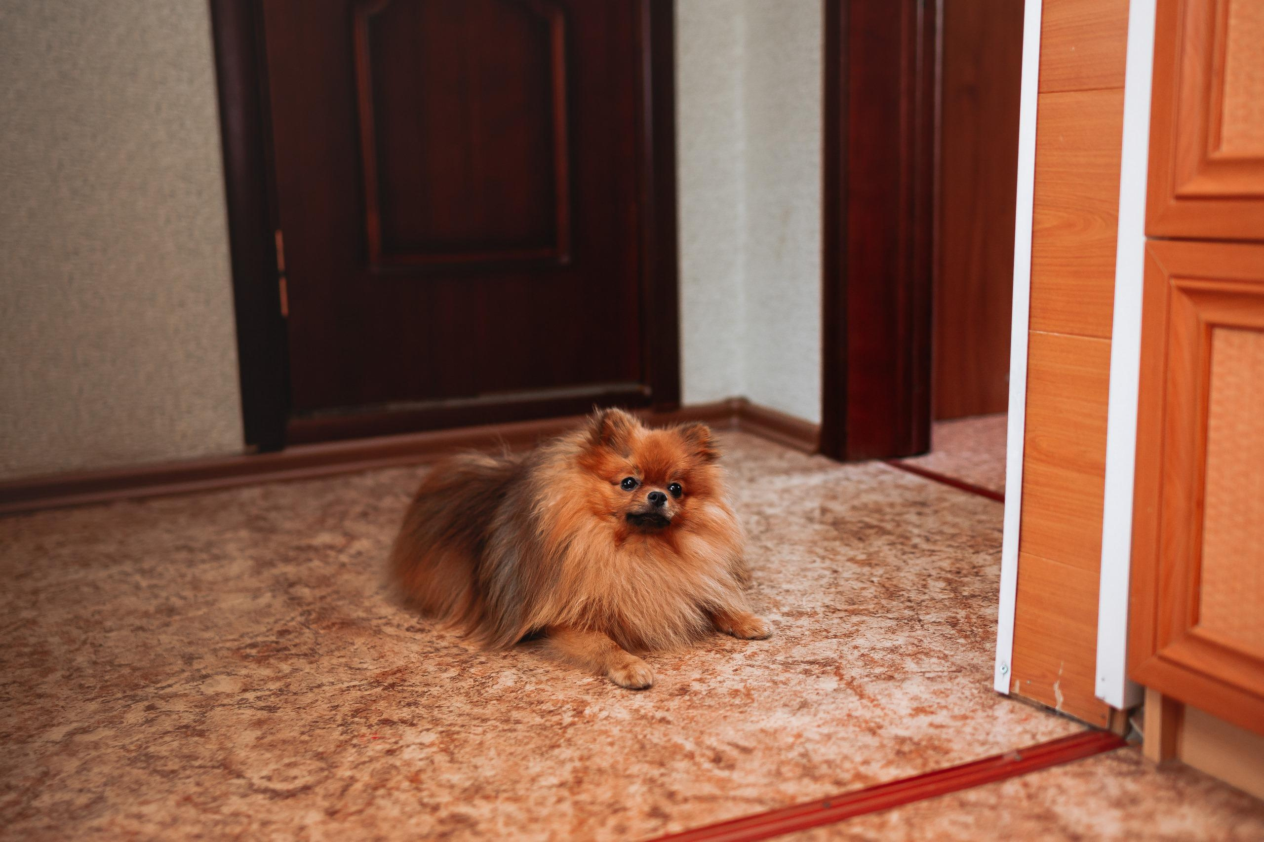 03.08.2019 Екатерина и Анатолий. Kulneva Valeria