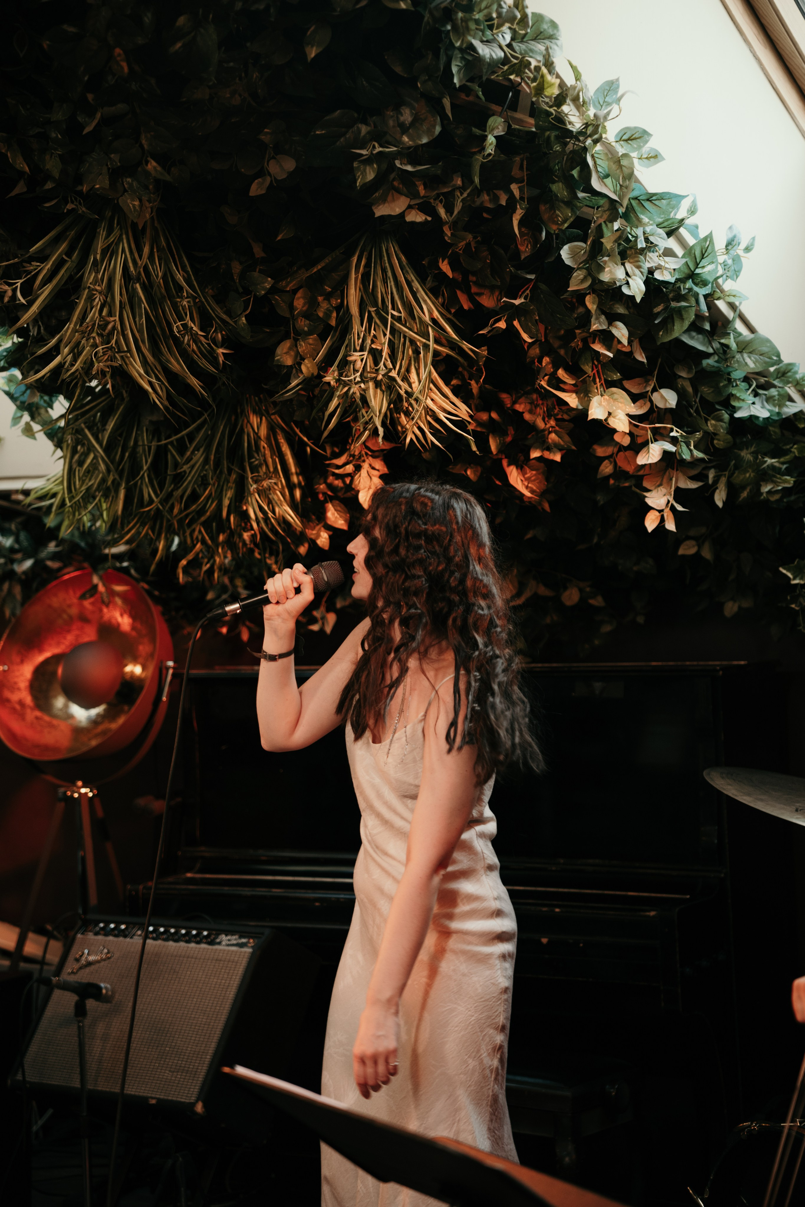 Джазовый вечер. Фотограф и видеограф Мария Банщикова, Солнечногорск, Москва