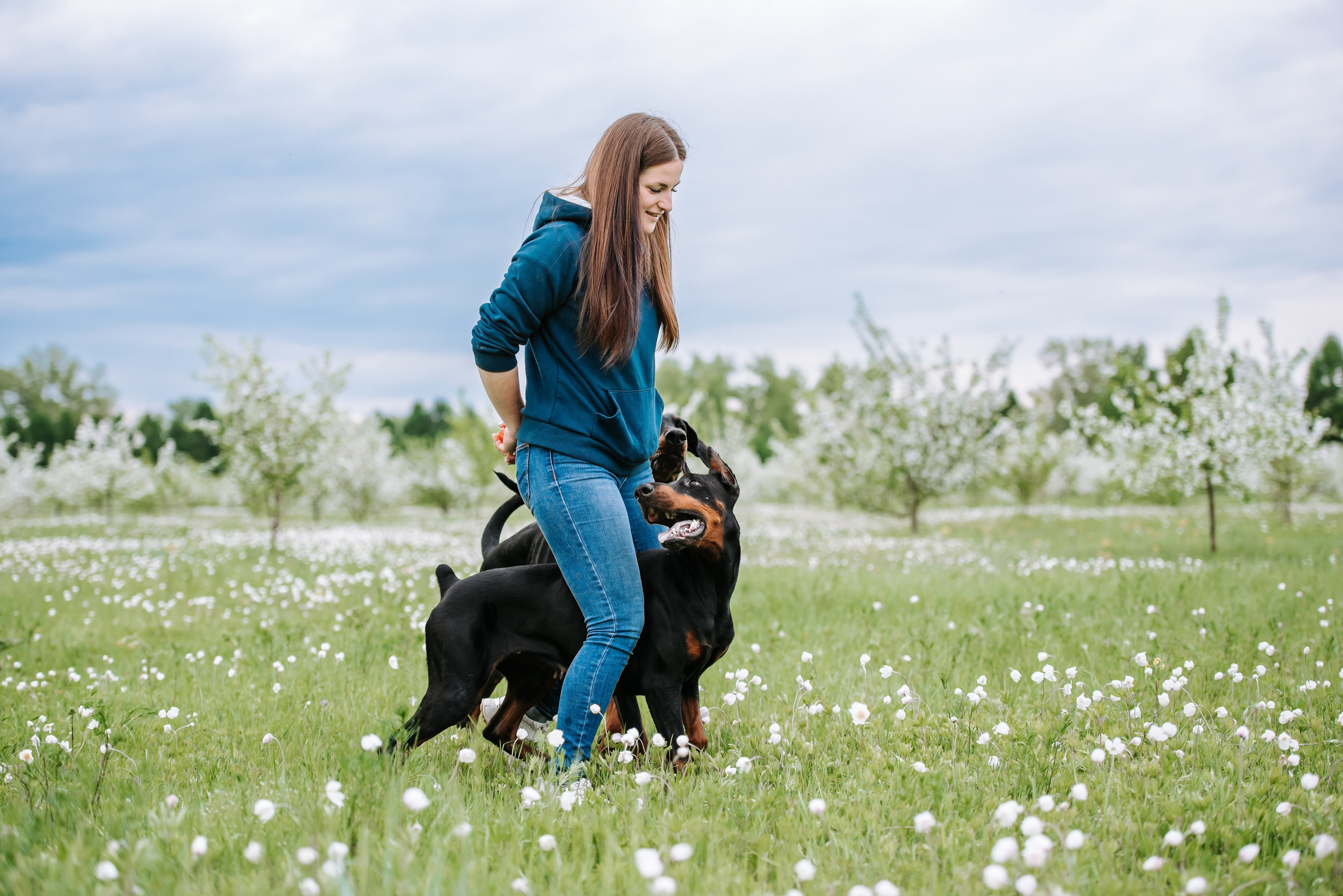 Цветение с доберманами. Фотограф Диана Оленина Красноярск / Братск