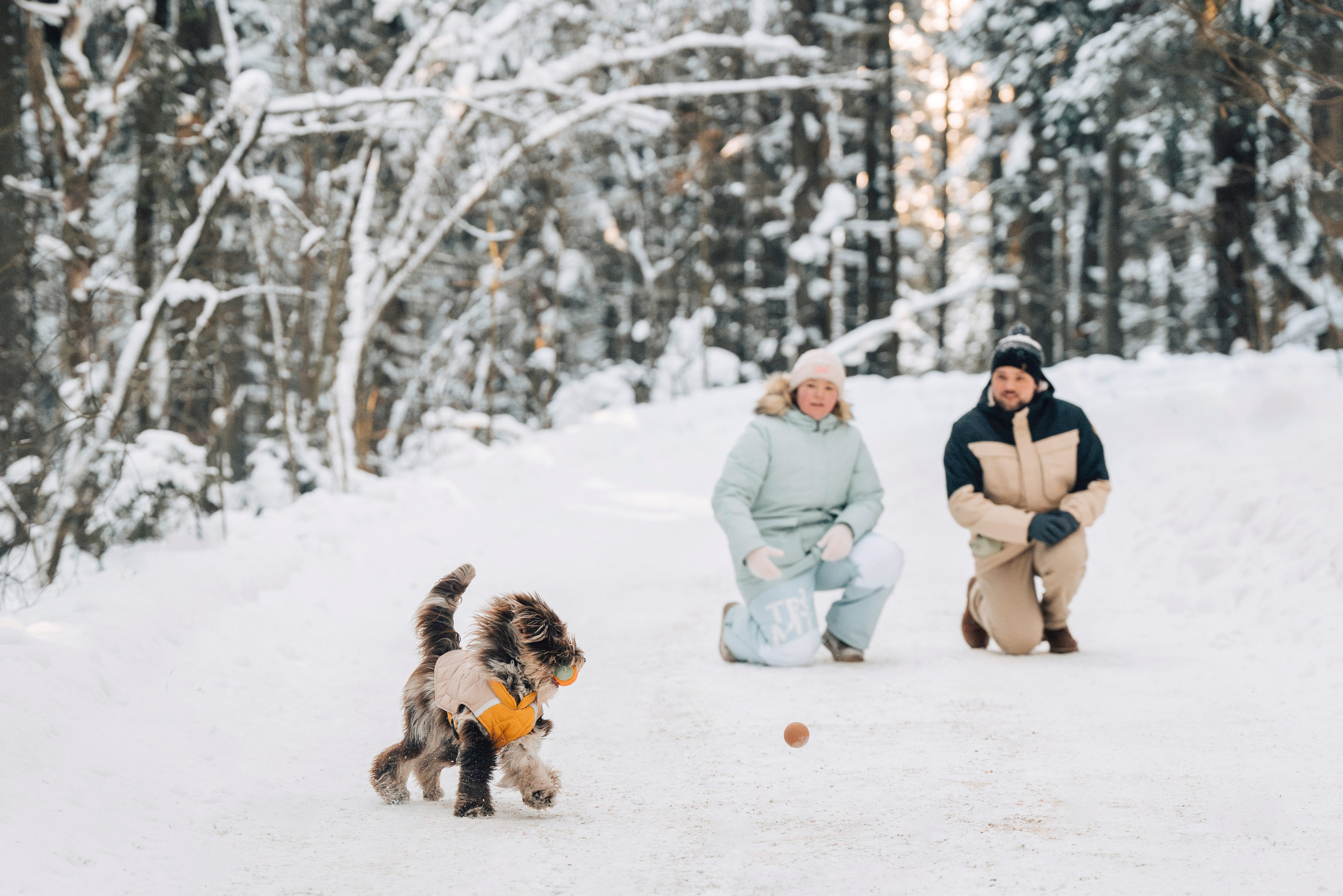 Хэйзел и её семья. Фотограф анималист в Спб недорого Олеся Майорова