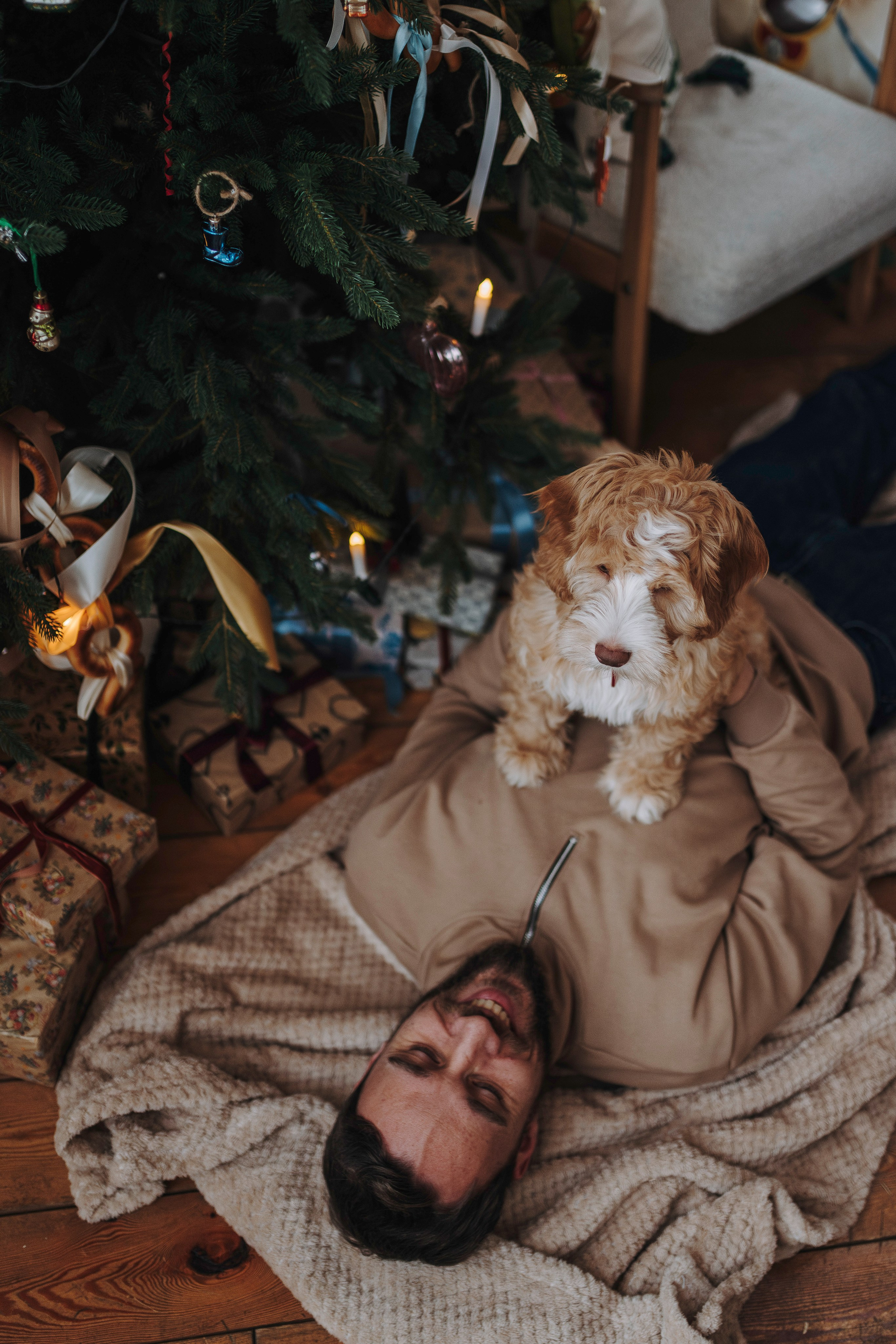 Мёрфи, Таня и Антон. Фотограф анималист в Спб недорого Олеся Майорова