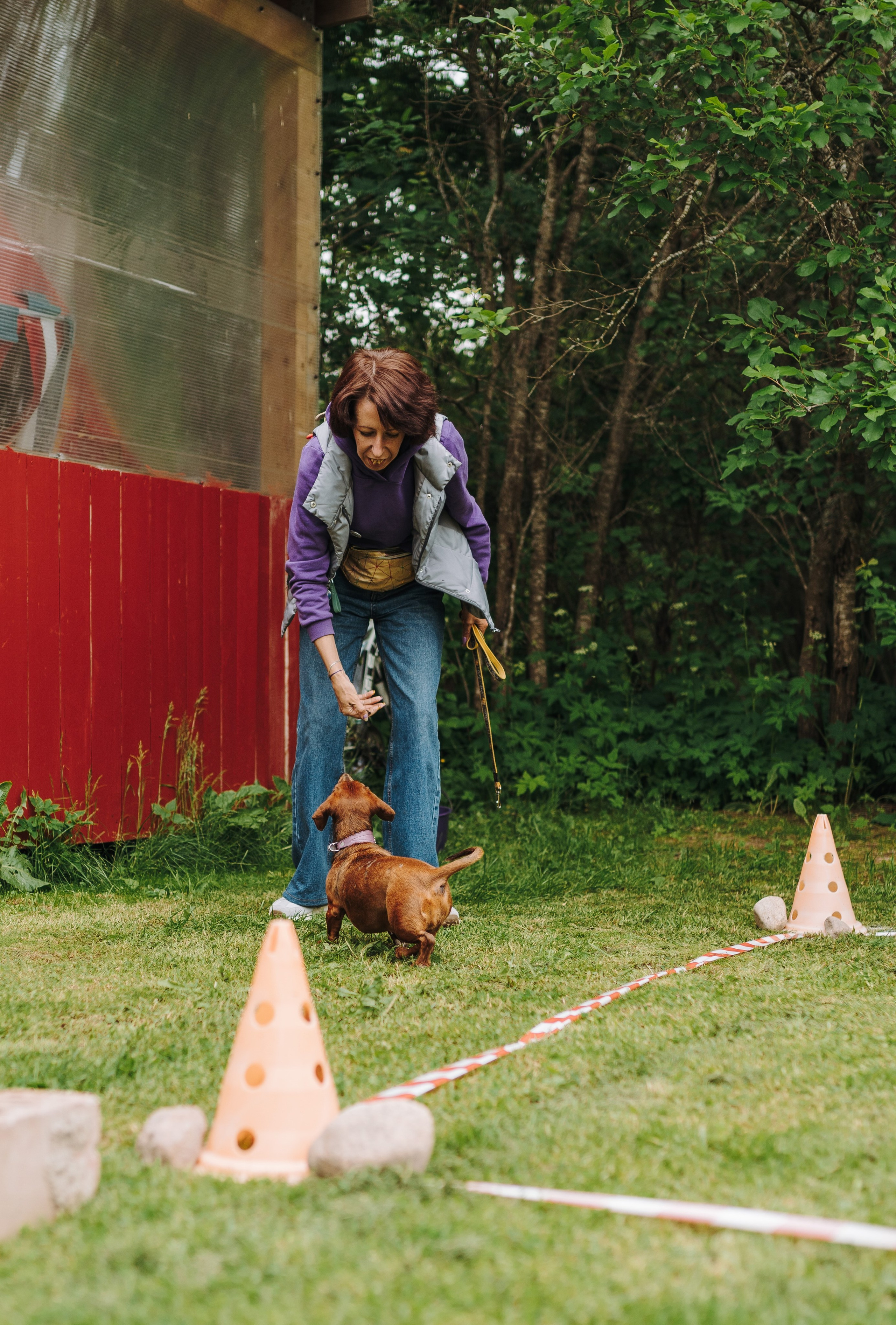 Соревнования по ноузворку. Фотограф анималист в Спб недорого Олеся Майорова