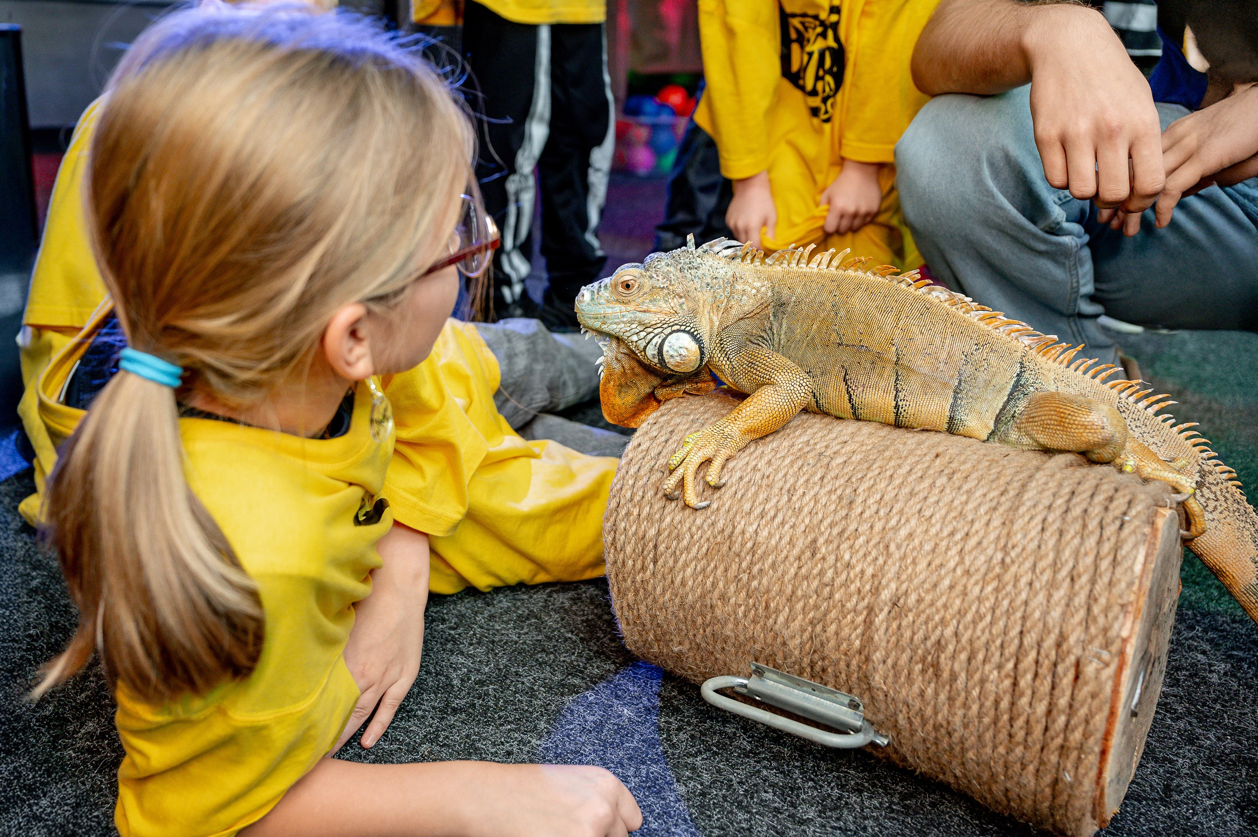 «Форд-боярд». Свадебный, семейный и репортажный фотограф. Брянск. Эльвира Голенкова