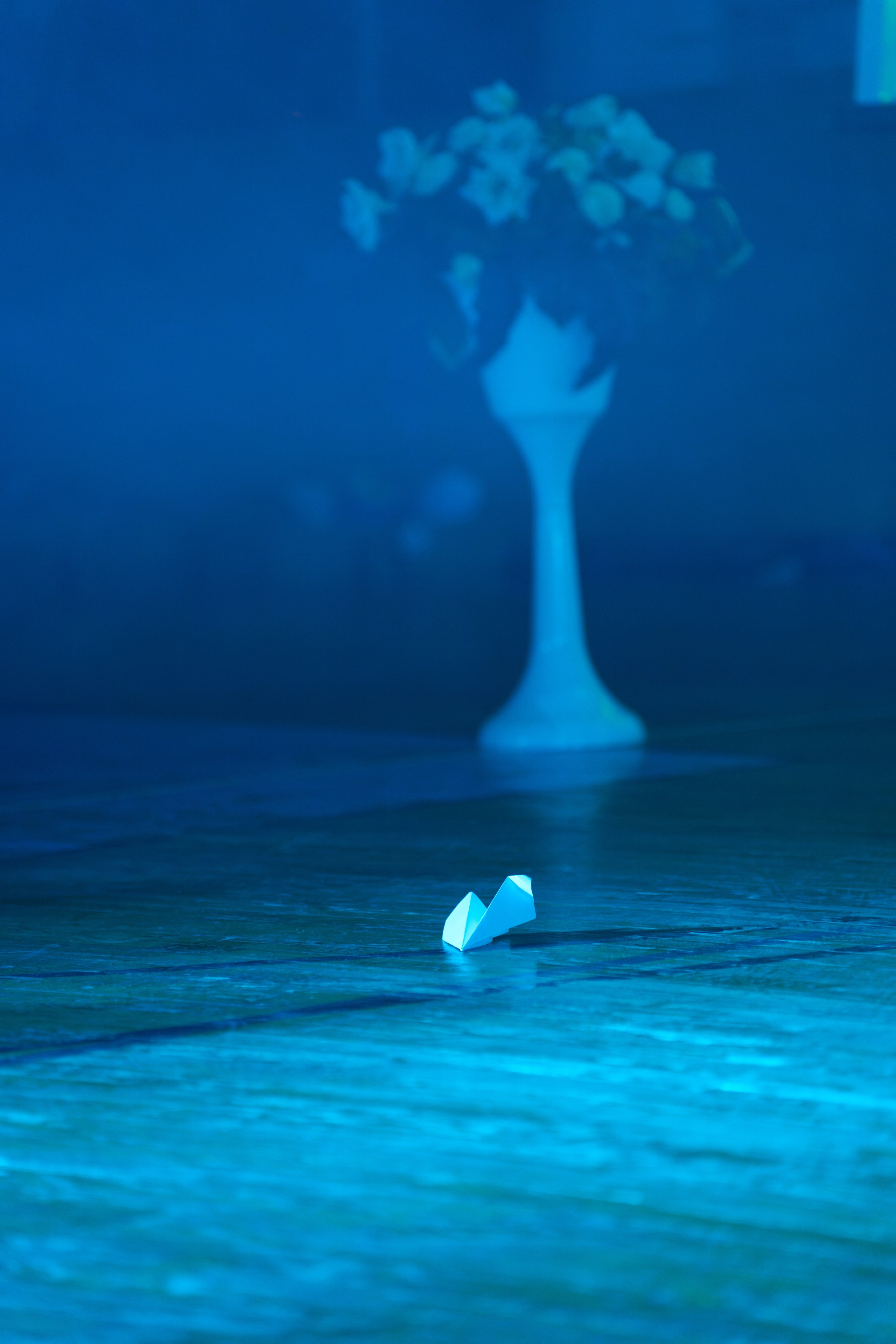 Выпускные. Фотограф-видеограф в Санкт-Петербурге Владимир Нестеров